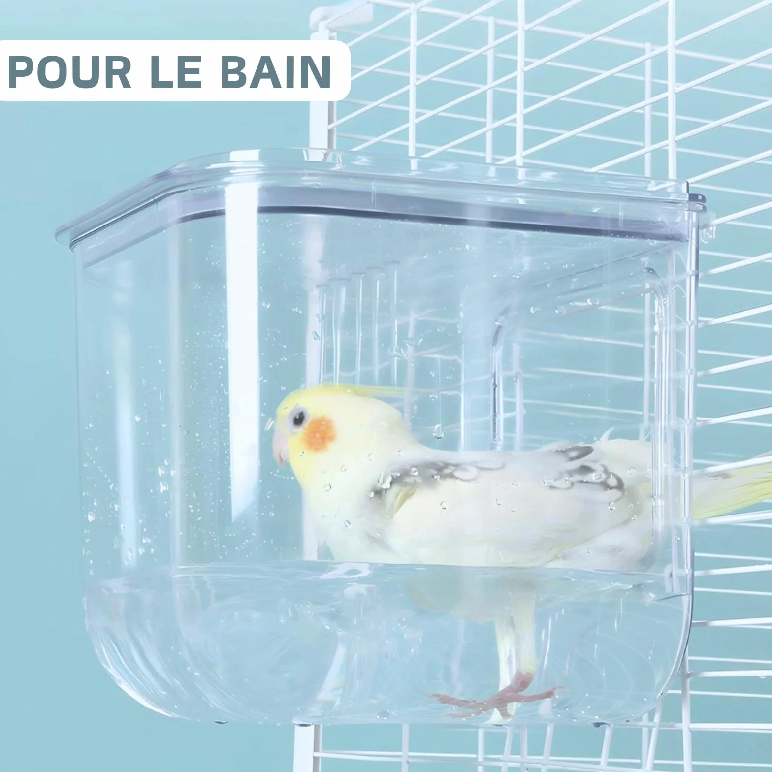 Bain d'oiseaux suspendu pour cage petite et moyenne taille perroquets inséparables pinsons perruches