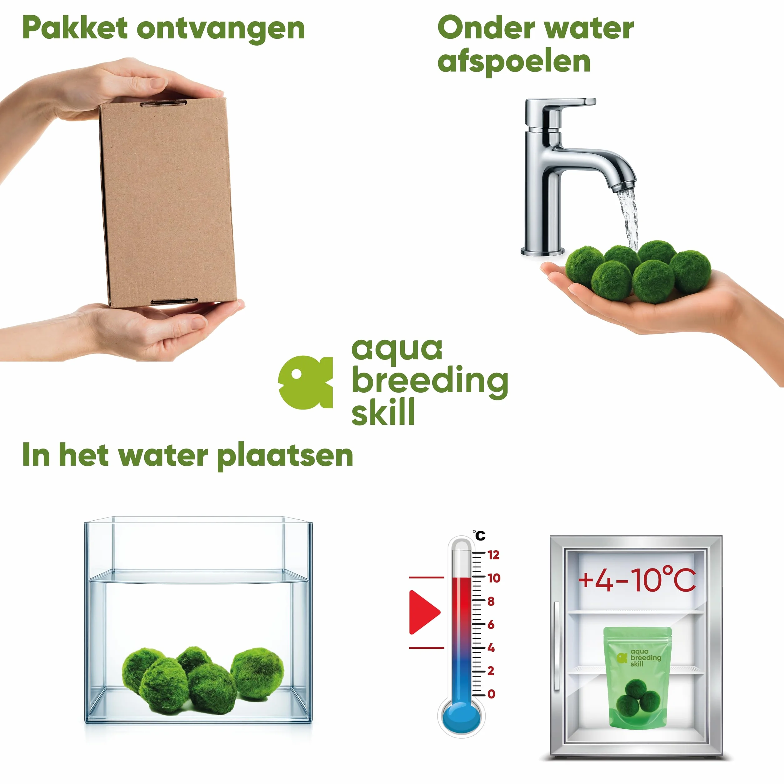 Marimo Moss Balls Lot de 3 – Plante Aquarium Vivante Naturelle – Filtre Biologique – Idéal Nano Aquarium