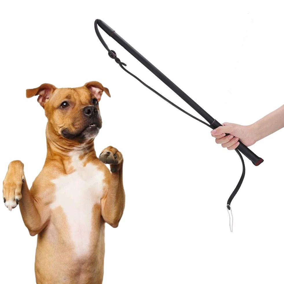 Martinet pour Chien Fouet Cuir Dressage Taille Moyenne Peau de Vache