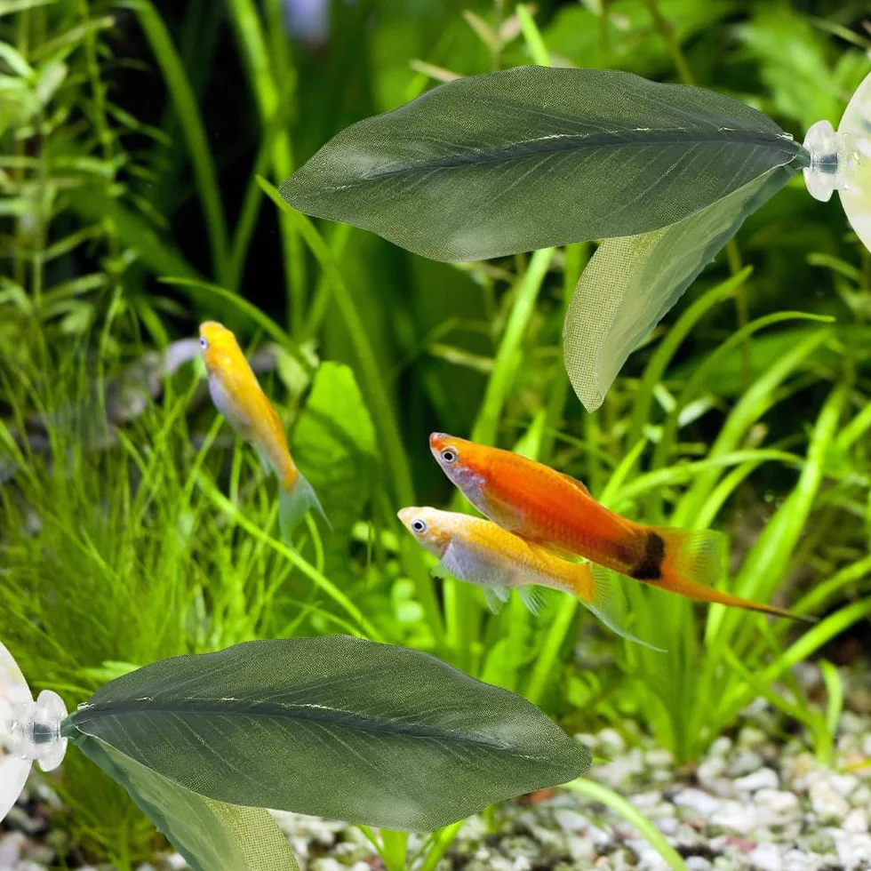 Feuille Lit Betta Coussin Feuilles Plantes d'aquarium avec Ventouse Décorations pour Simuler l'habitat de Repos des Poissons