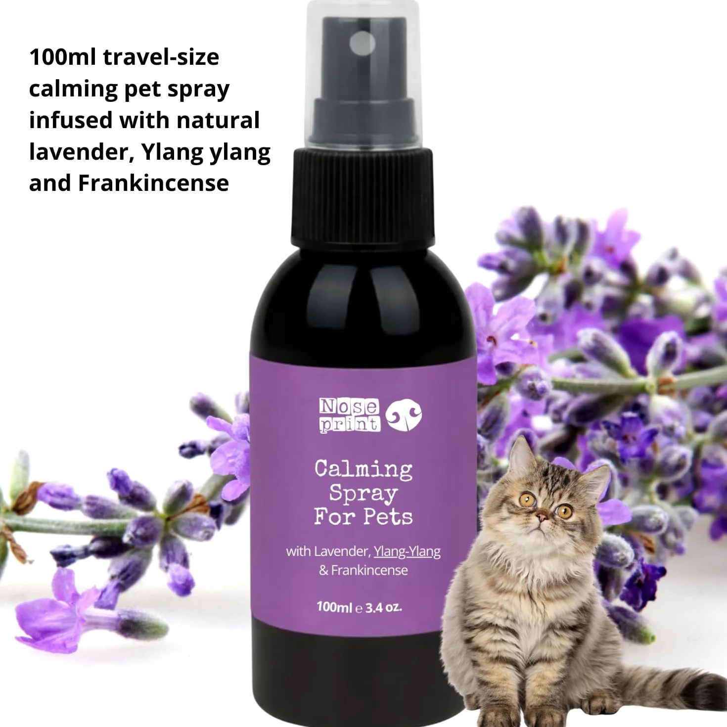 Spray apaisant naturel pour chiens et chats lavande ylang-ylang encens 100 ml