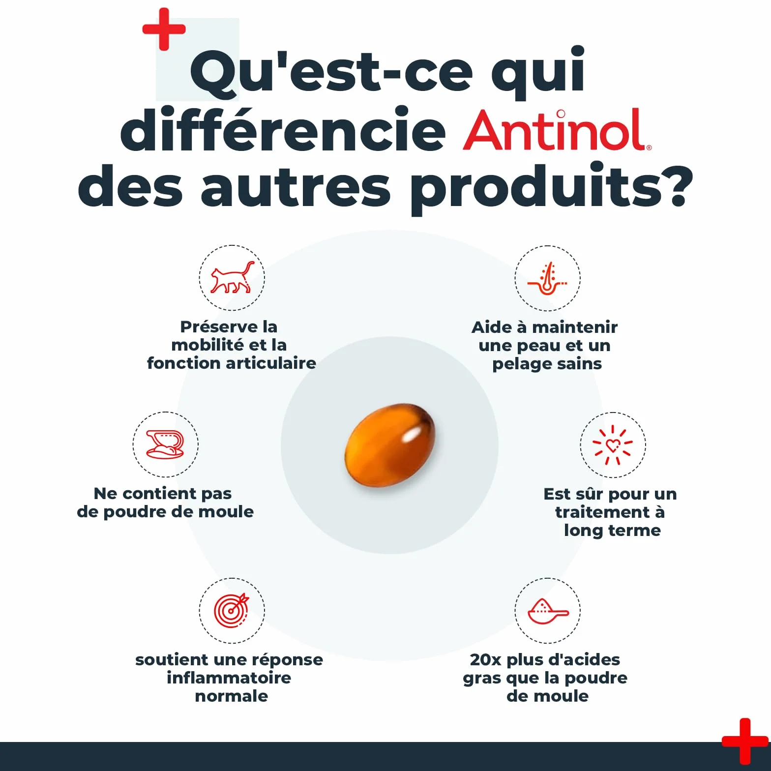 Antinol Complément Naturel des Chats Adultes Articulations Peau Huîtres Vertes Oméga 3 Vitamine E 90 Capsules