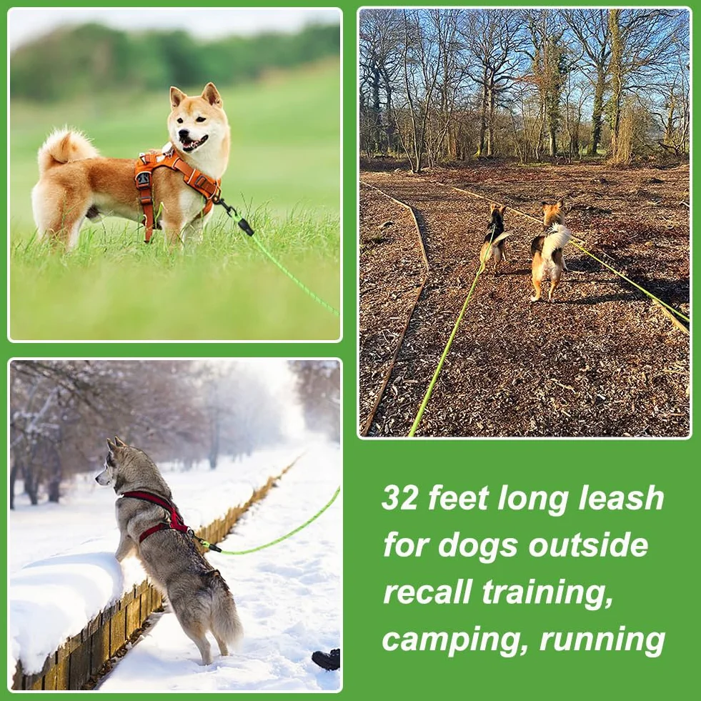 Vivifying Longue Laisse Flottante Réfléchissante pour Chien avec Poignée Souple Vert