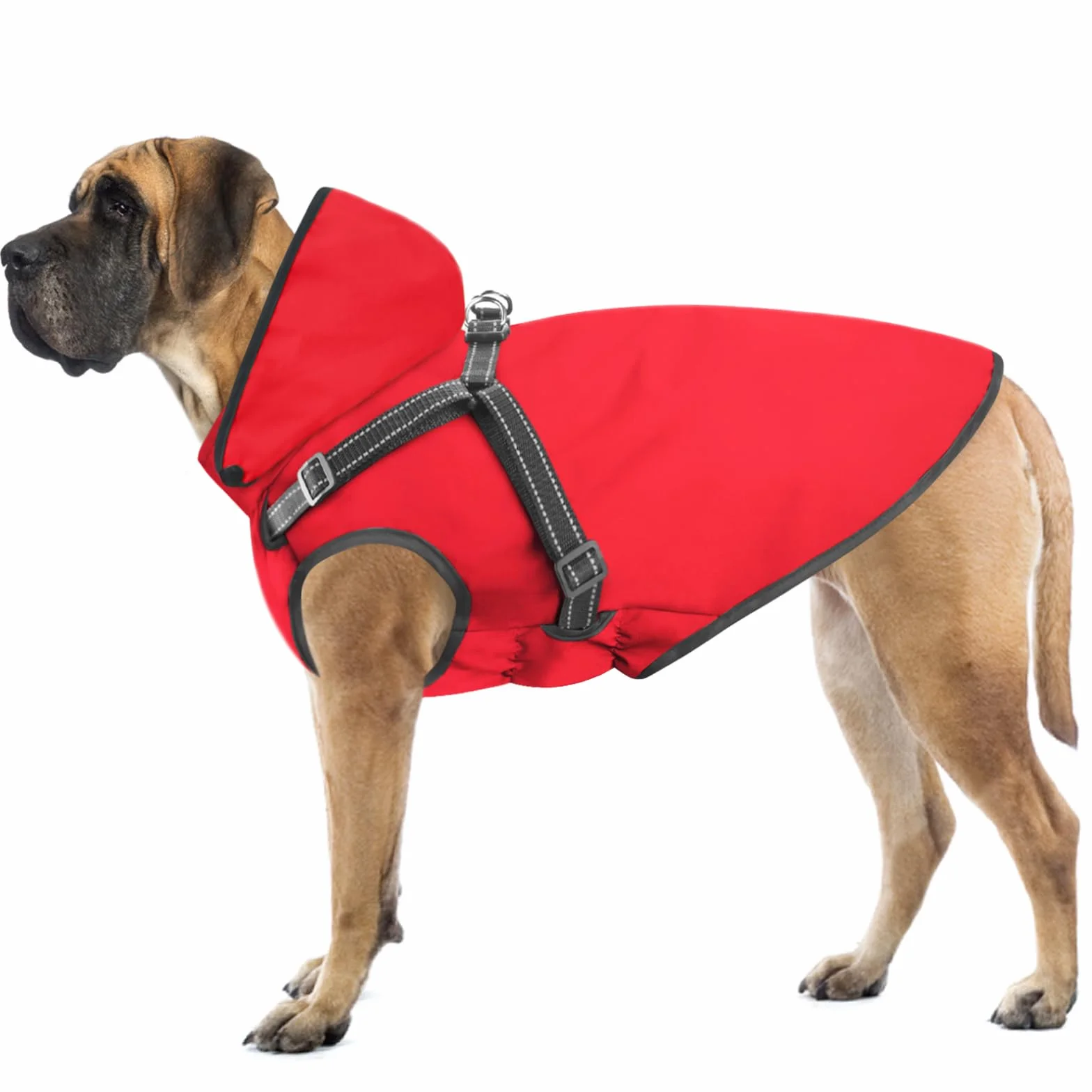 Manteau de Pluie imperméable pour Chien à Capuche réfléchissant Rouge L