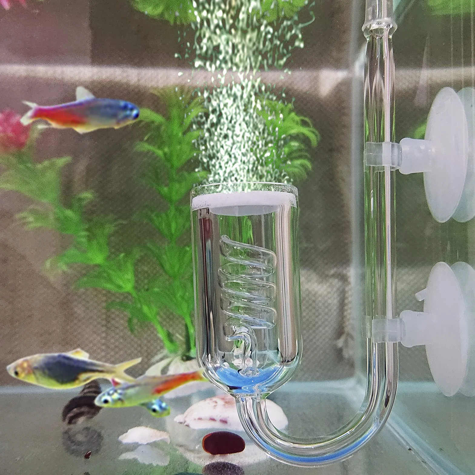 CO2 Diffuseur Aquarium Verre Spirale Atomiseur Bulle Compteur Ventouse Planté Fish Tank