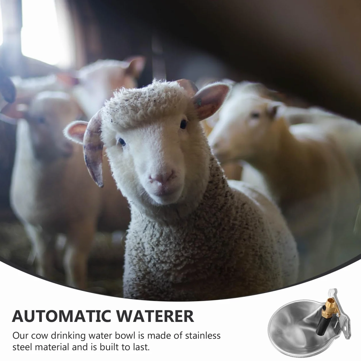 Abreuvoir Automatique Inox Bol Eau Anti-éclaboussures pour Bovins Ovins Régulateur Niveau Constant