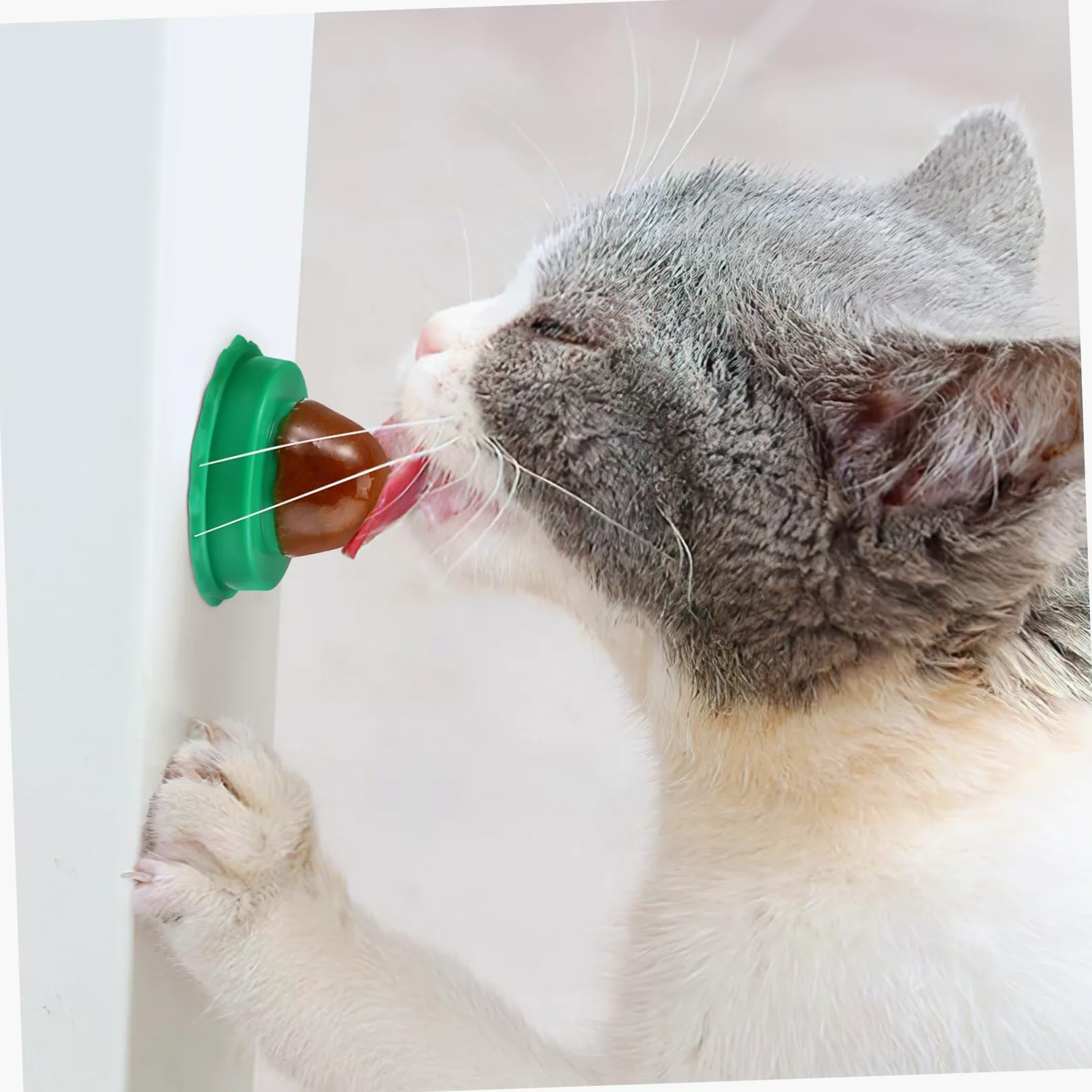 POPETPOP Sucettes à l'herbe à Chat 10 Pièces pour Chat Vert, Friandises Vitaminées Naturelles pour Augmenter L'hydratation et Améliorer Problèmes Urinaires