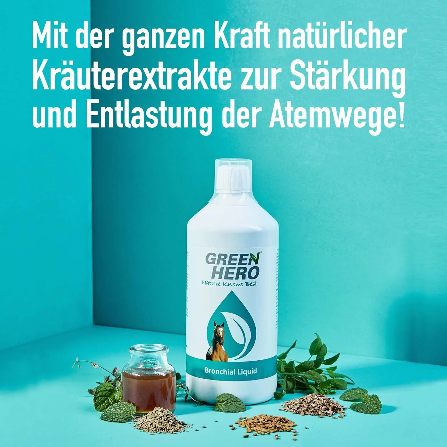 Green Hero Bronchial Liquid pour Chevaux 1000 ML – Jus d'herbes bronchiques avec extraits d'herbes de thym, fenouil et Plus – Jus bronchique avec Herbes respiratoires pour renforcer Les Voies