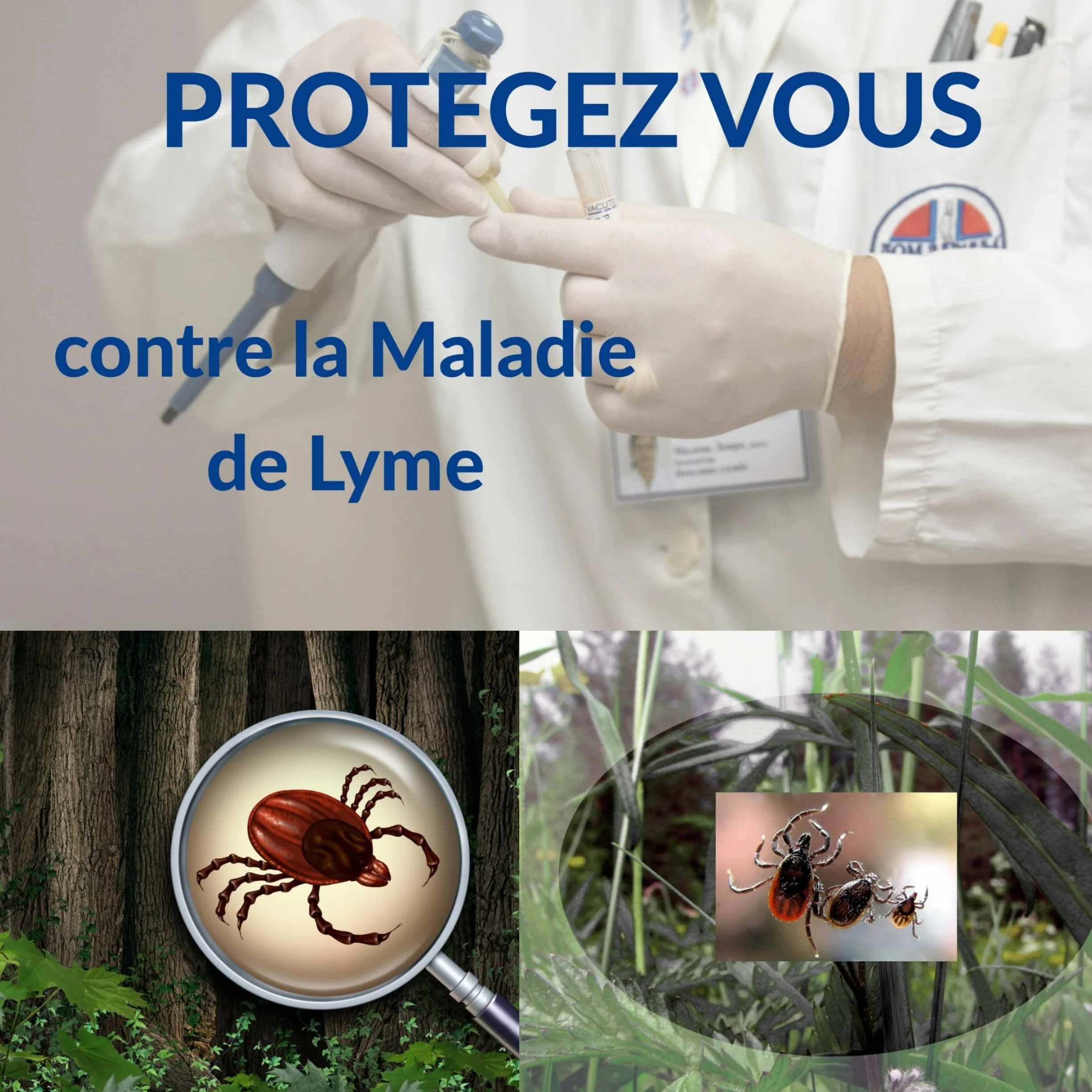 Tire Tique Pince à tique crochets anti tiques acier inoxydable pour chat chien humain Kit de 6 pièces
