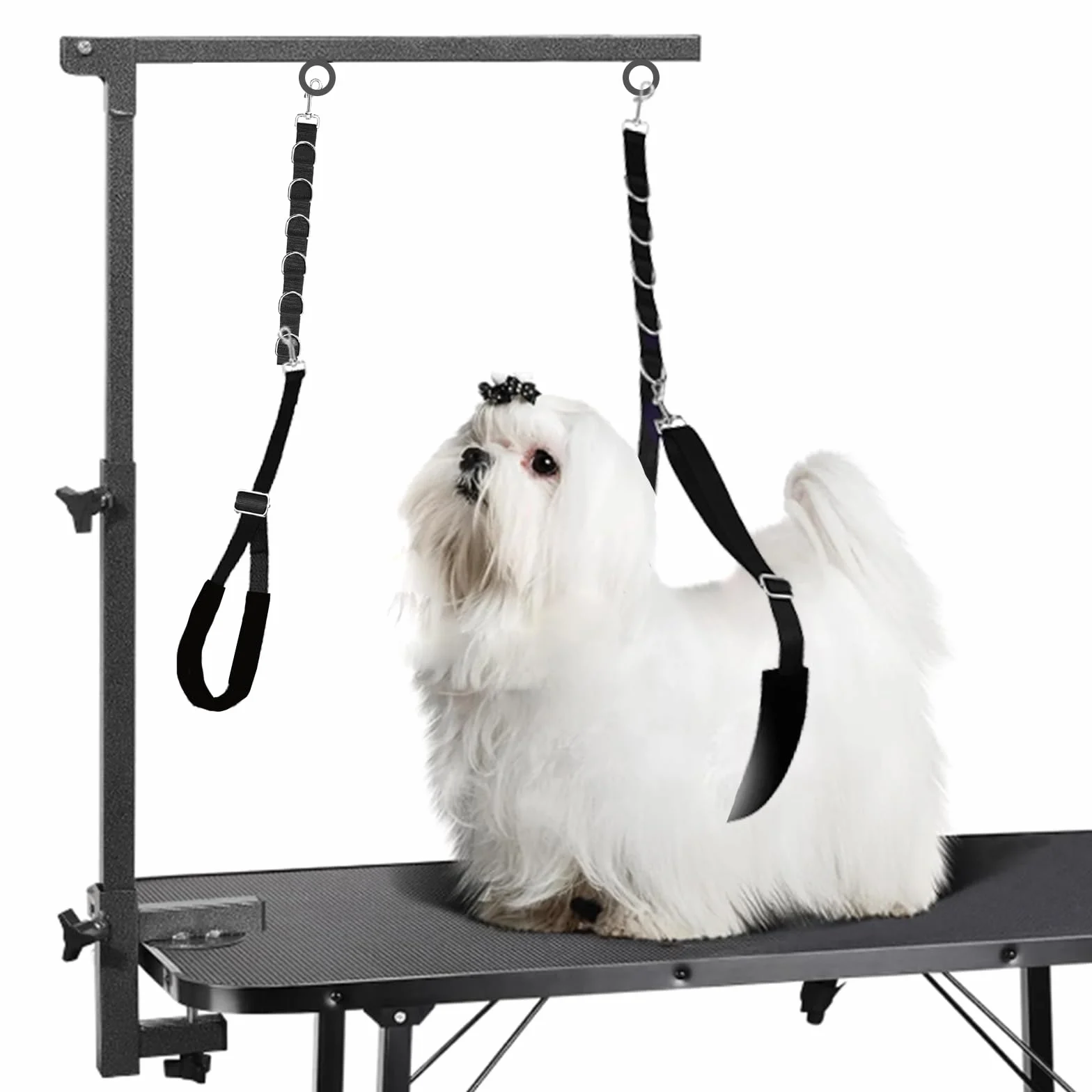 ASOCEA Bande de Sangle Ventrale de Toilettage pour Chien Boucle de Retenue de Bain Réglable Nylon pour Chat Chiot Chaton