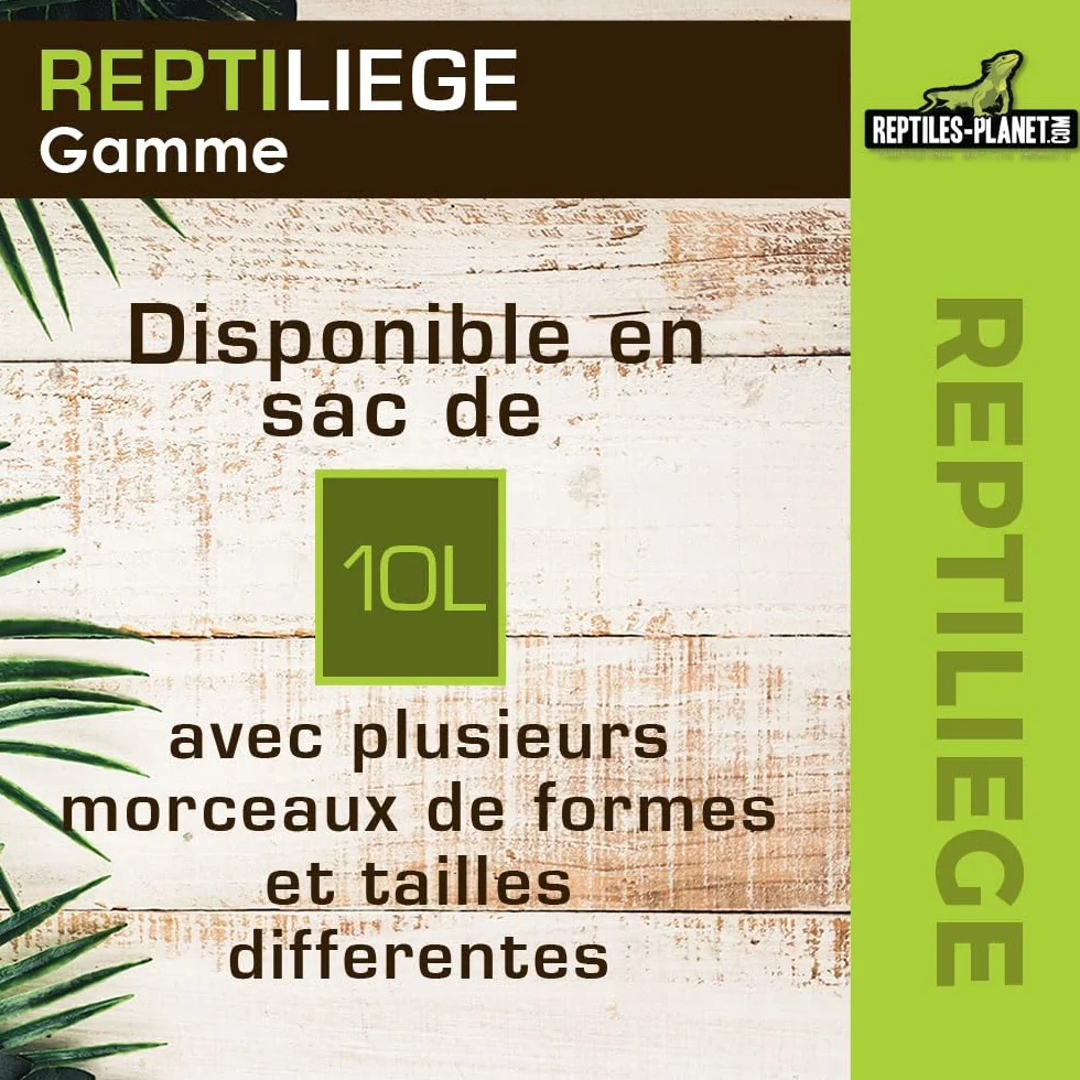 Reptiles Planet Assortiment de Liège pour Décoration de Terrarium 10 litres
