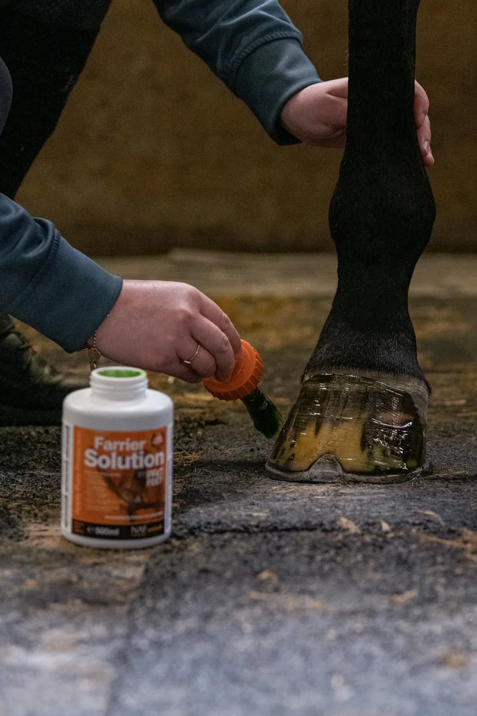NAF Profeet Solution pour maréchal 500 ML