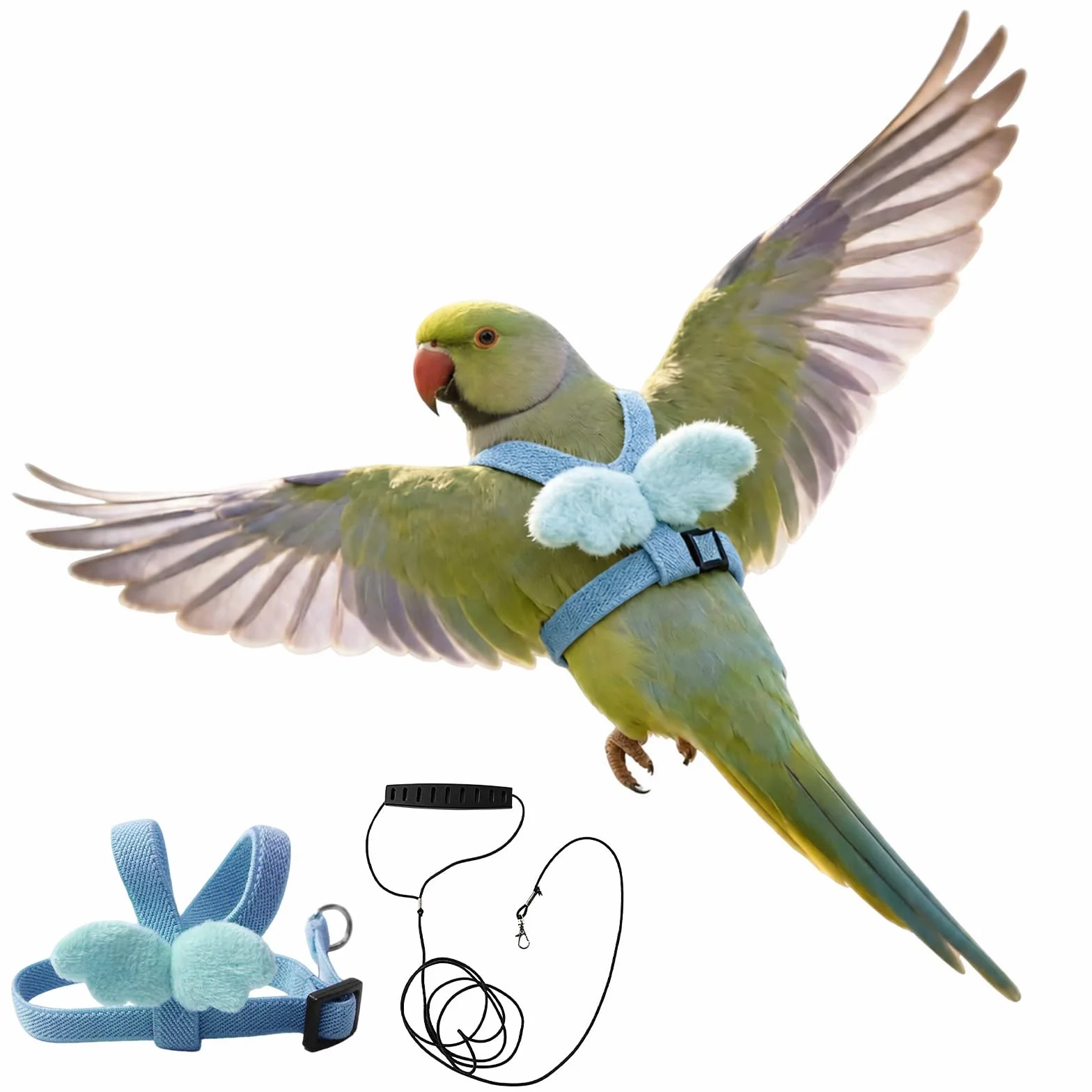 Harnais et Laisse Réglables pour Perroquets – Légère Laisse de vol élastique Anti-Morsure pour Promenade et Dressage (Bleu, S)