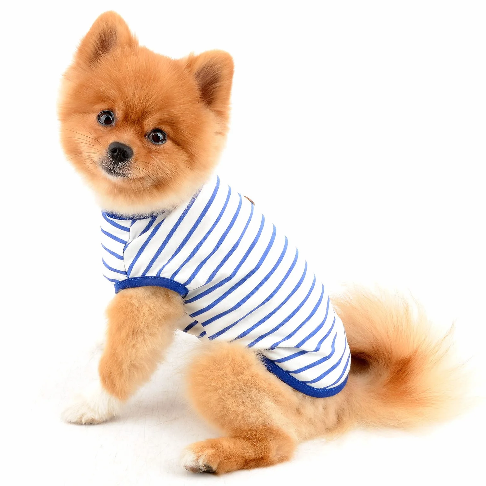 PAIDEFUL Chemise britannique rayée pour petit chien, gilet pour chat, T-shirt en coton doux pour chiot, vêtement d'été respirant