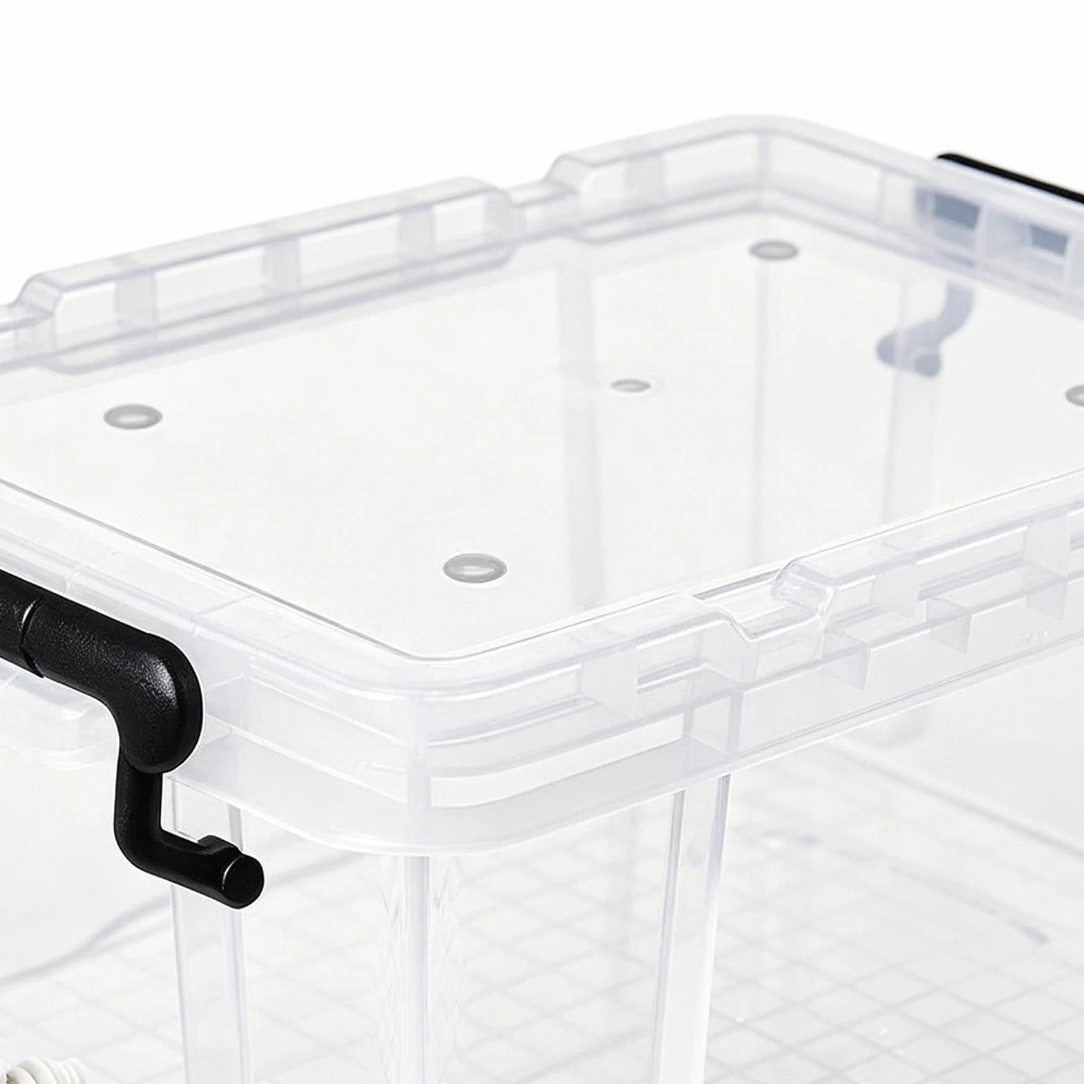 Bac Transparent pour Tortues Enclos de Repos pour Maison Appartement Bureau