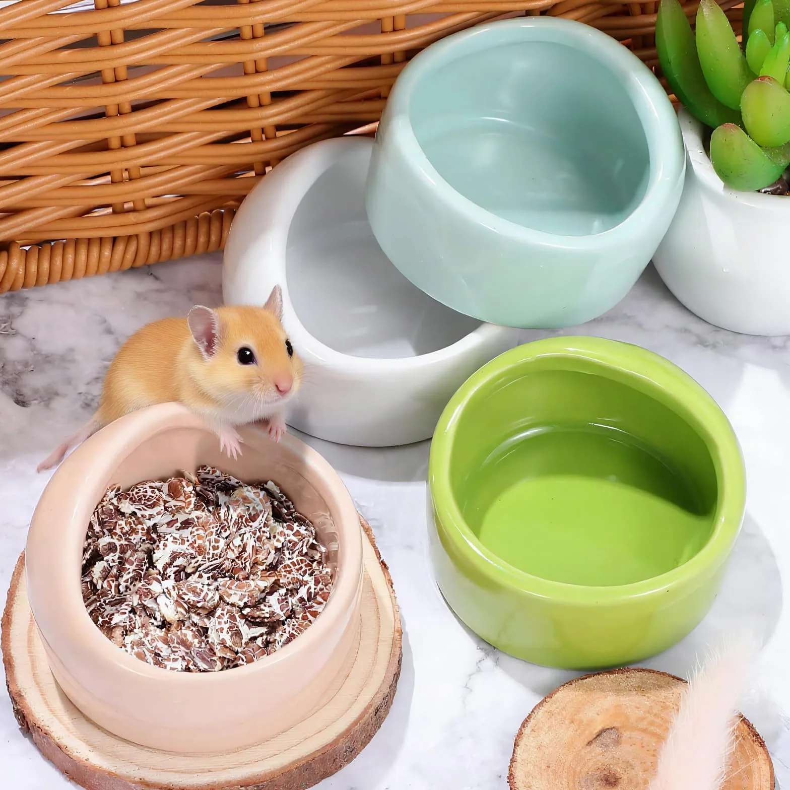 Bols pour Hamster en Céramique Anti-morsures, Mangeoire pour Petits Animaux