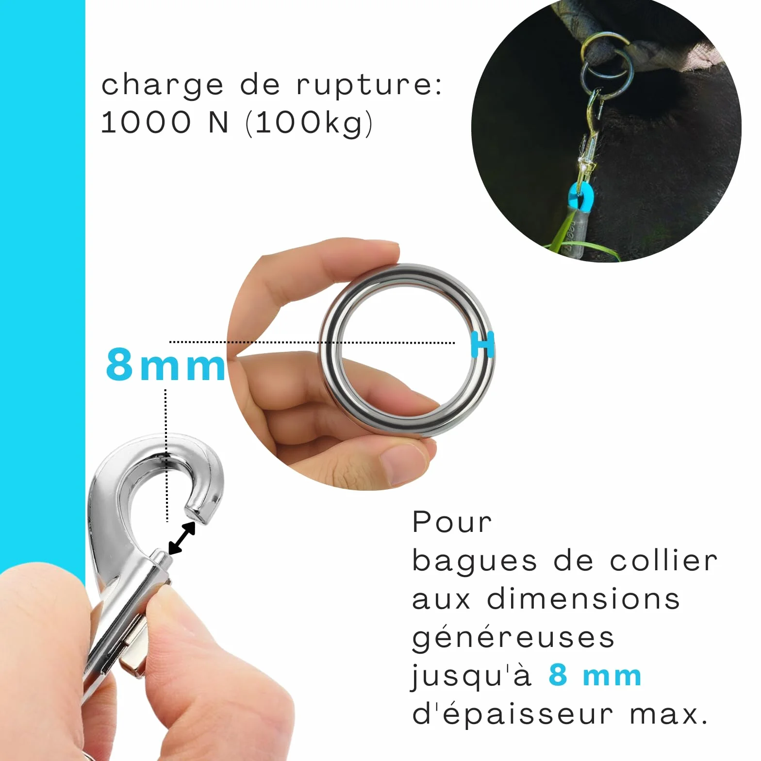 Laisse pour Chien 10 m Étanche Ronde sans Boucle Cyan Bleu 35 kg