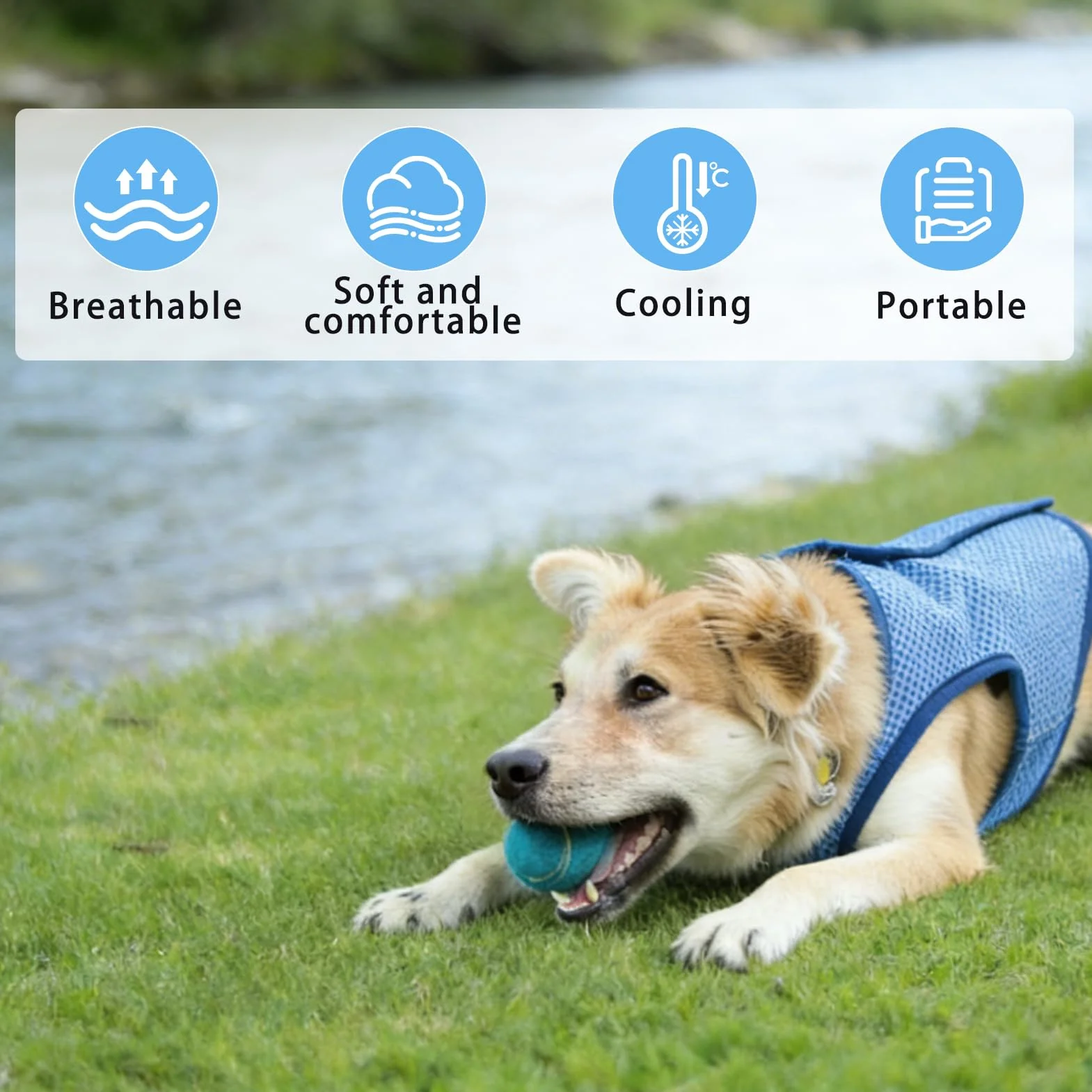 Veste de Refroidissement pour Chien Respirante été, Gilet Rafraichissant Chien, Style sans Manches Frais et Confortable, Manteau Rafraichissant pour Chien, Accessoires Généraux (XL)