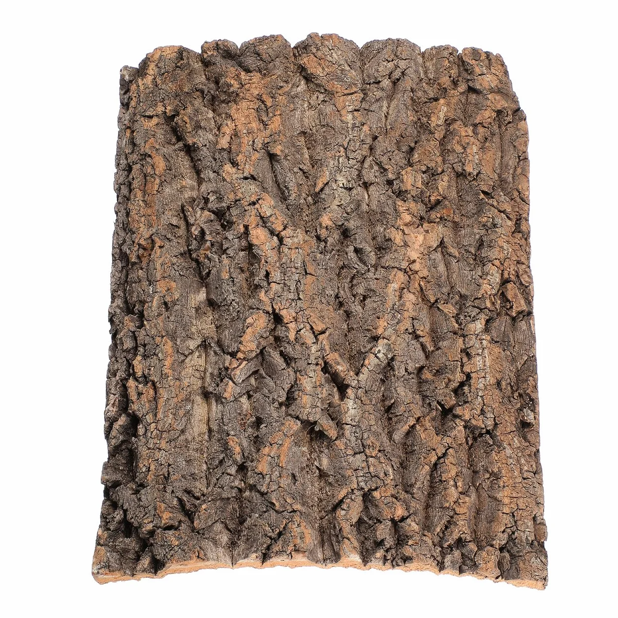 DOITOOL Panneaux De Fond en Écorce De Liège pour Terrarium Décor Mural De Toile De Fond Darbre De Réservoir De Reptiles Décoration De Tapis Descalade Dhabitat pour Tortue Lézard 30 x 40CM