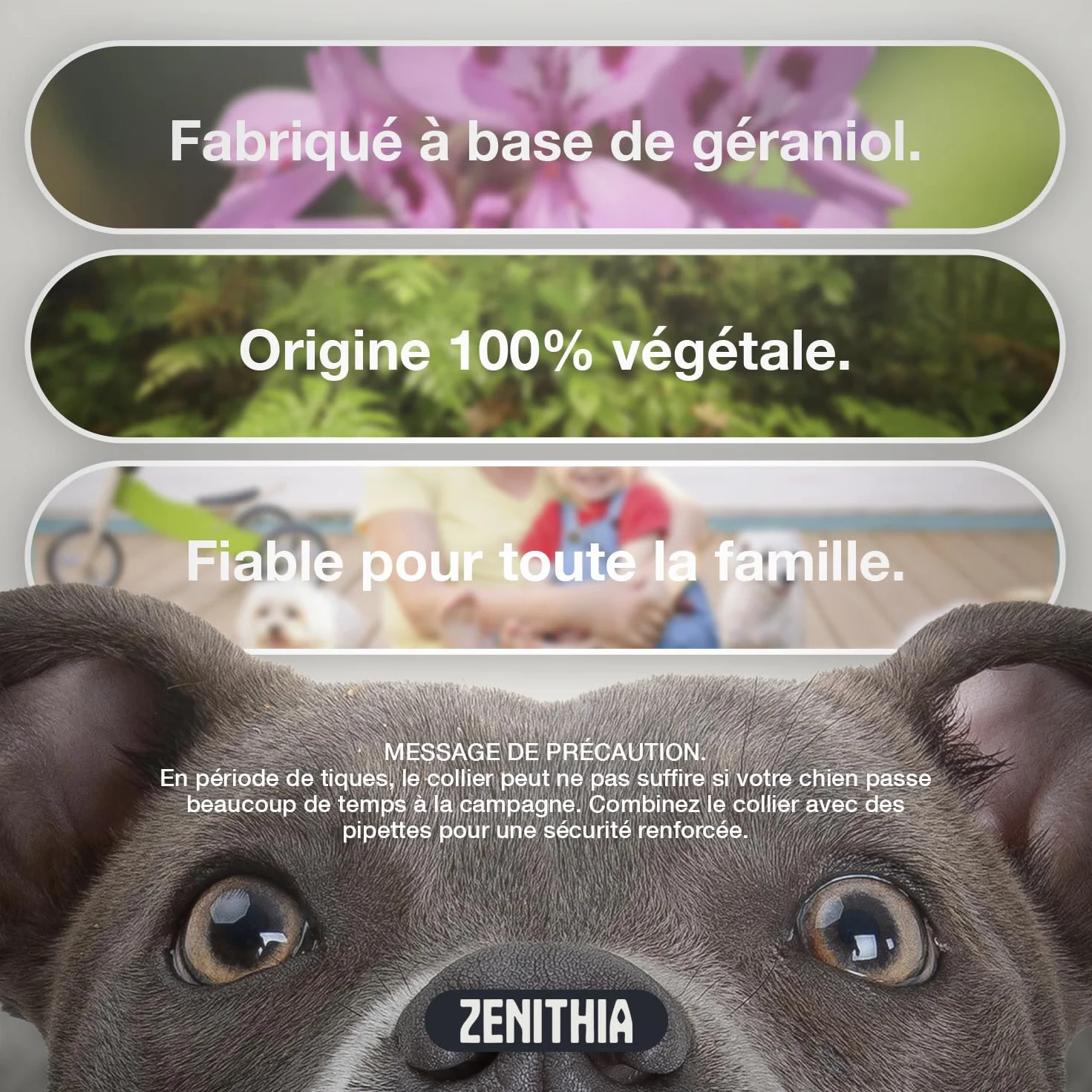 Collier Anti Puces pour Chien DREEMZ® 63cm Réglable 8 Mois Protection Imperméable Naturel