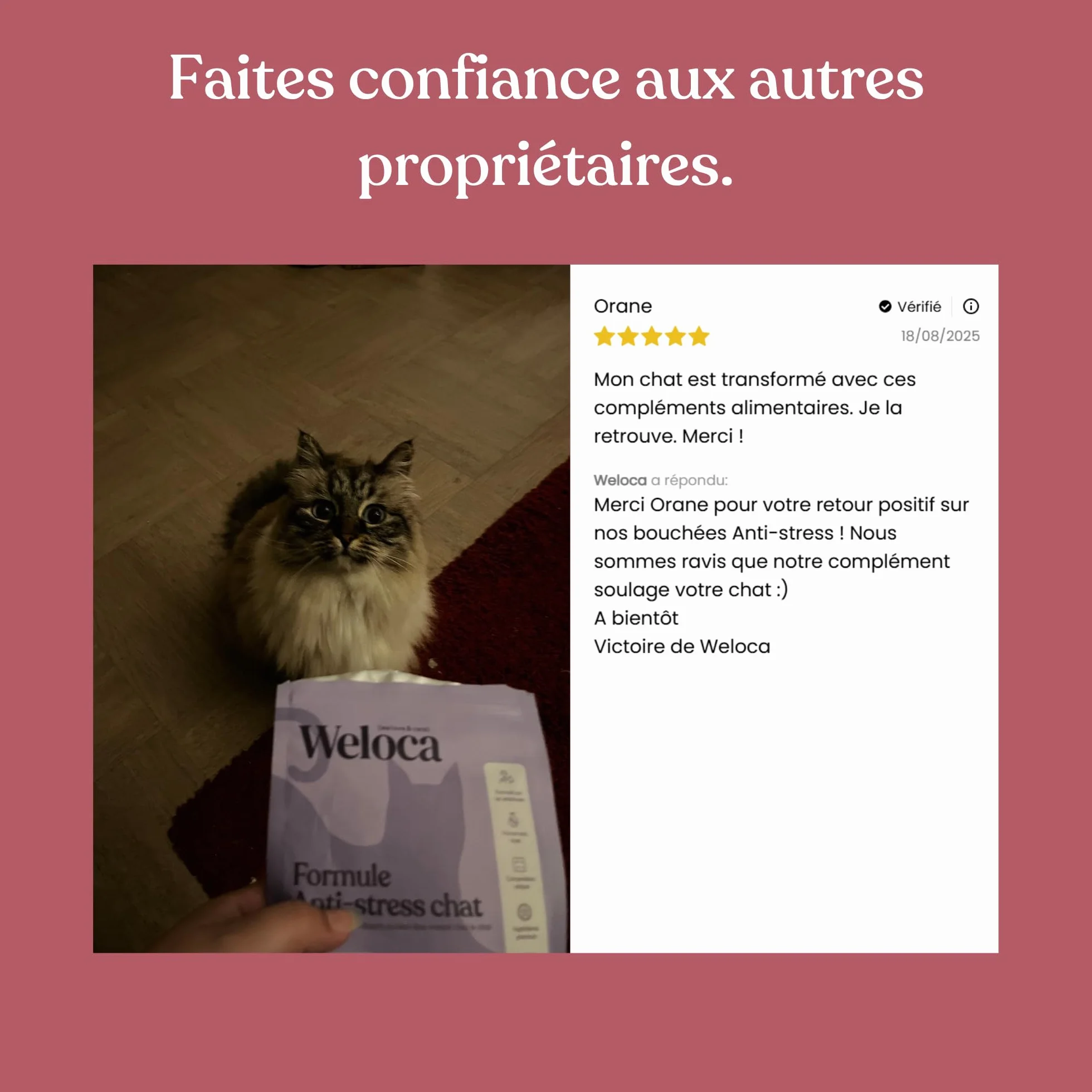 Anti-stress Chat 120 bouchées naturelles apaisant problèmes comportementaux calmant