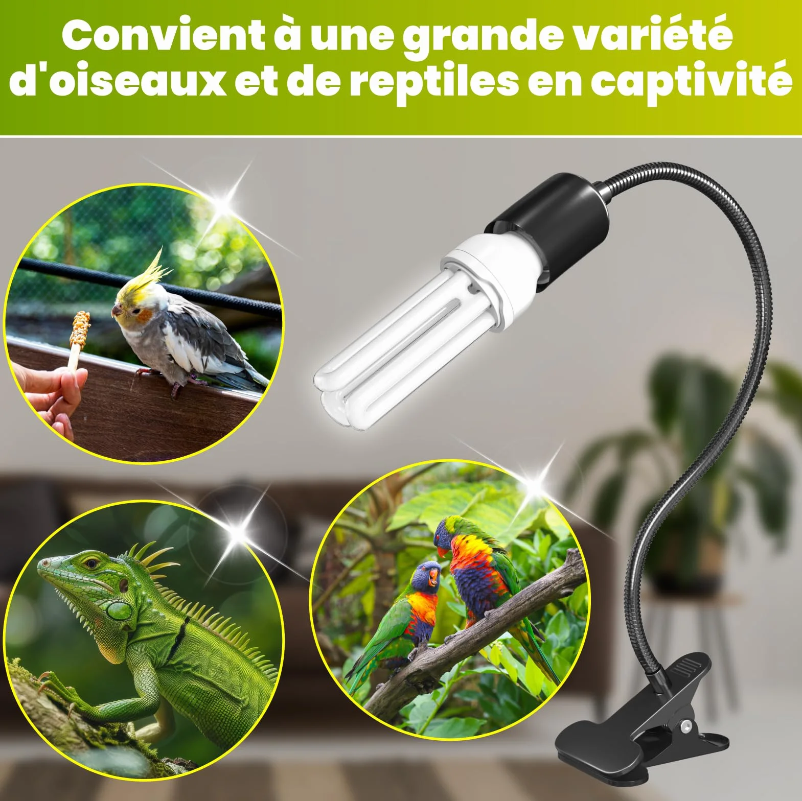 GlowUp UVB 2.4 Kit complet éclairage oiseaux lampe pince ampoule E27 20W