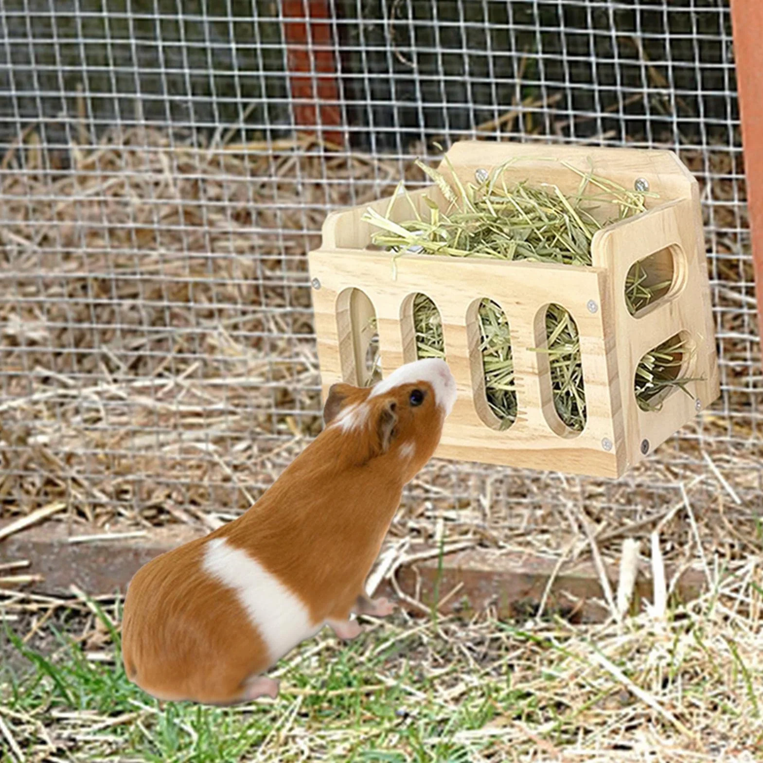 Distributeur de Foin en Bois pour Cochons d'Inde, Lapin et Cobaye - Râtelier à Foin pour Petits Animaux