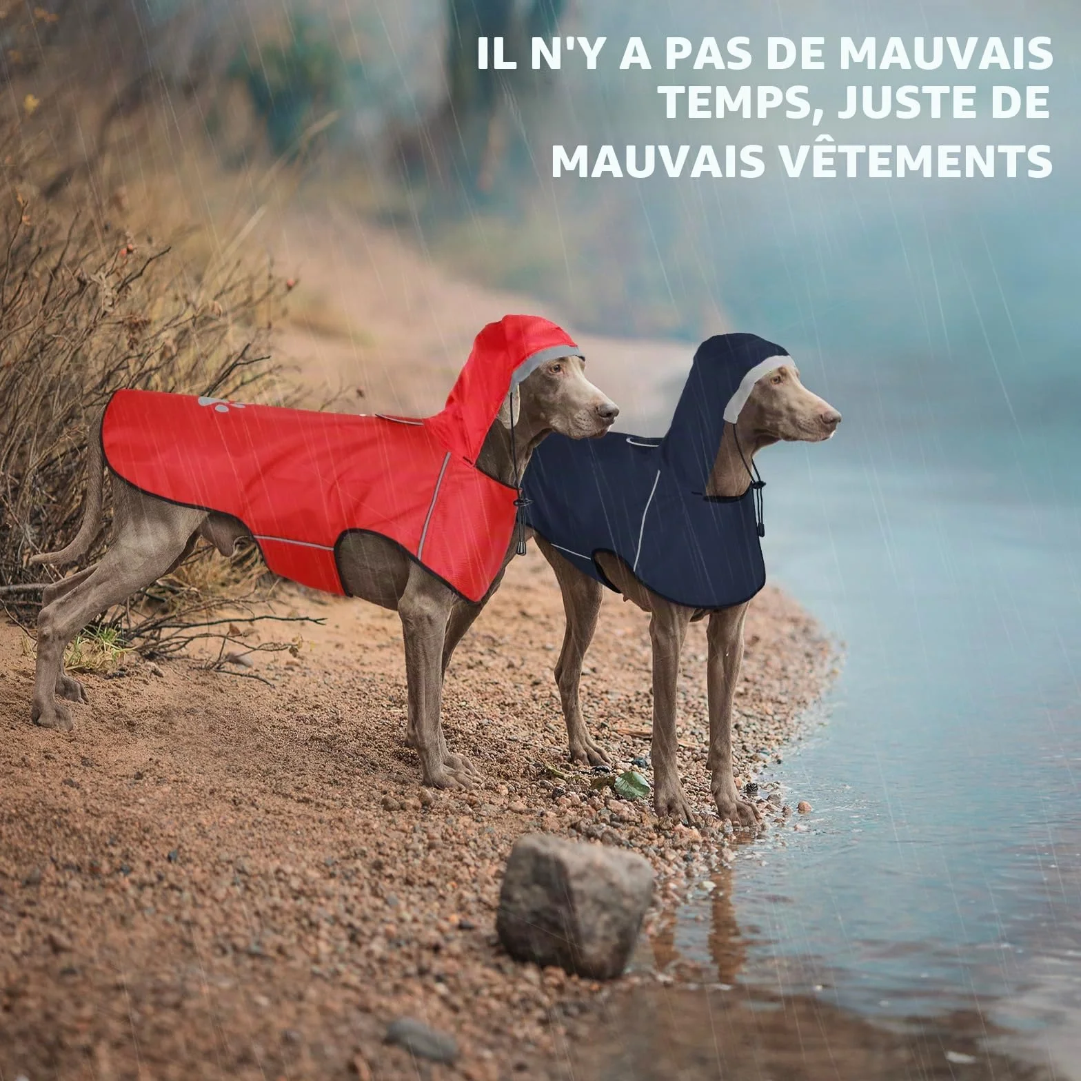 Manteau de Pluie pour Chiens de Grande Taille - Vêtement Imperméable avec Capuche Réfléchissante et Fermeture Velcro Réglable - Ultra Léger pour les Promenades