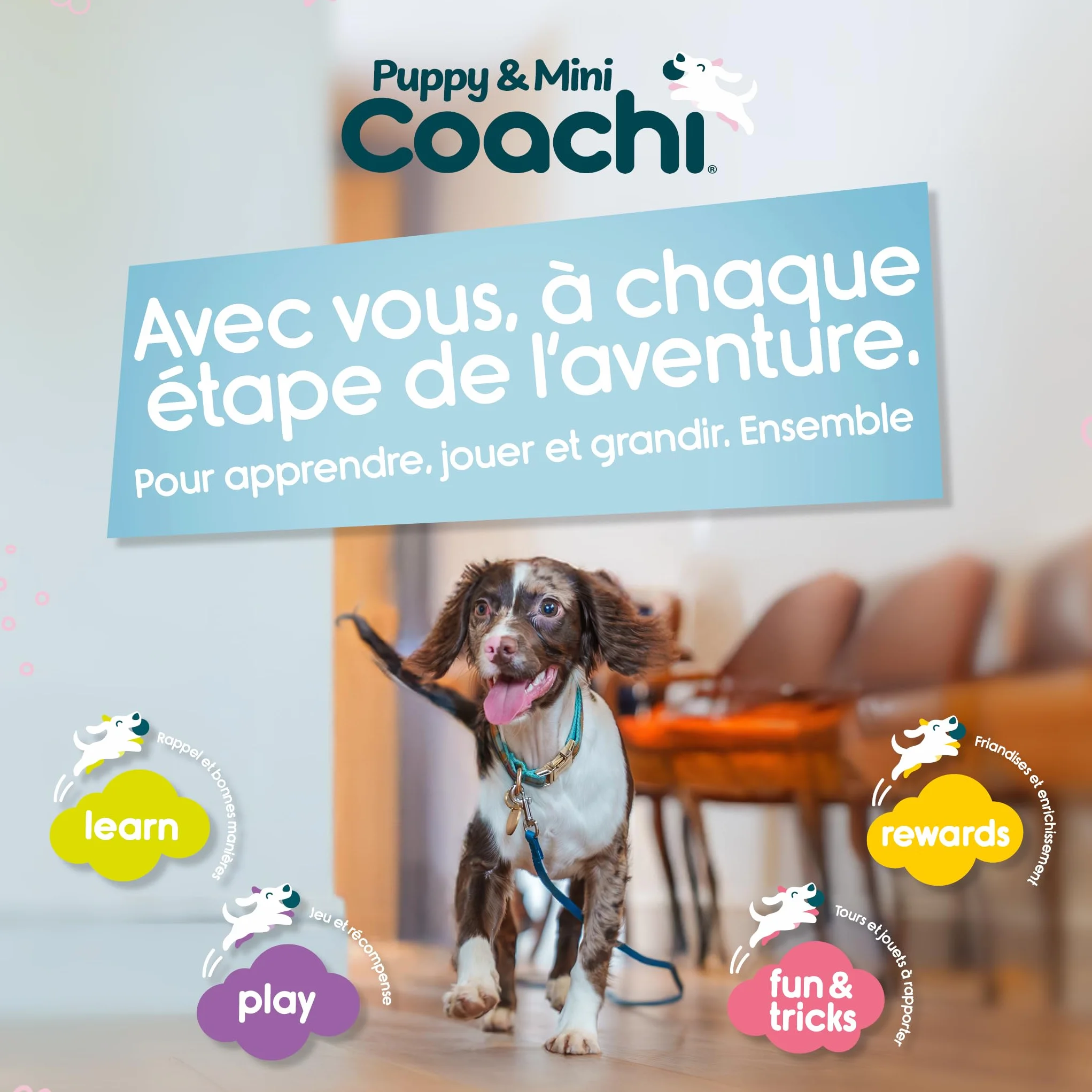 Sifflet et clicker combinés 2-en-1 pour chien, éducation rappel et récompense, cordon réglable réfléchissant