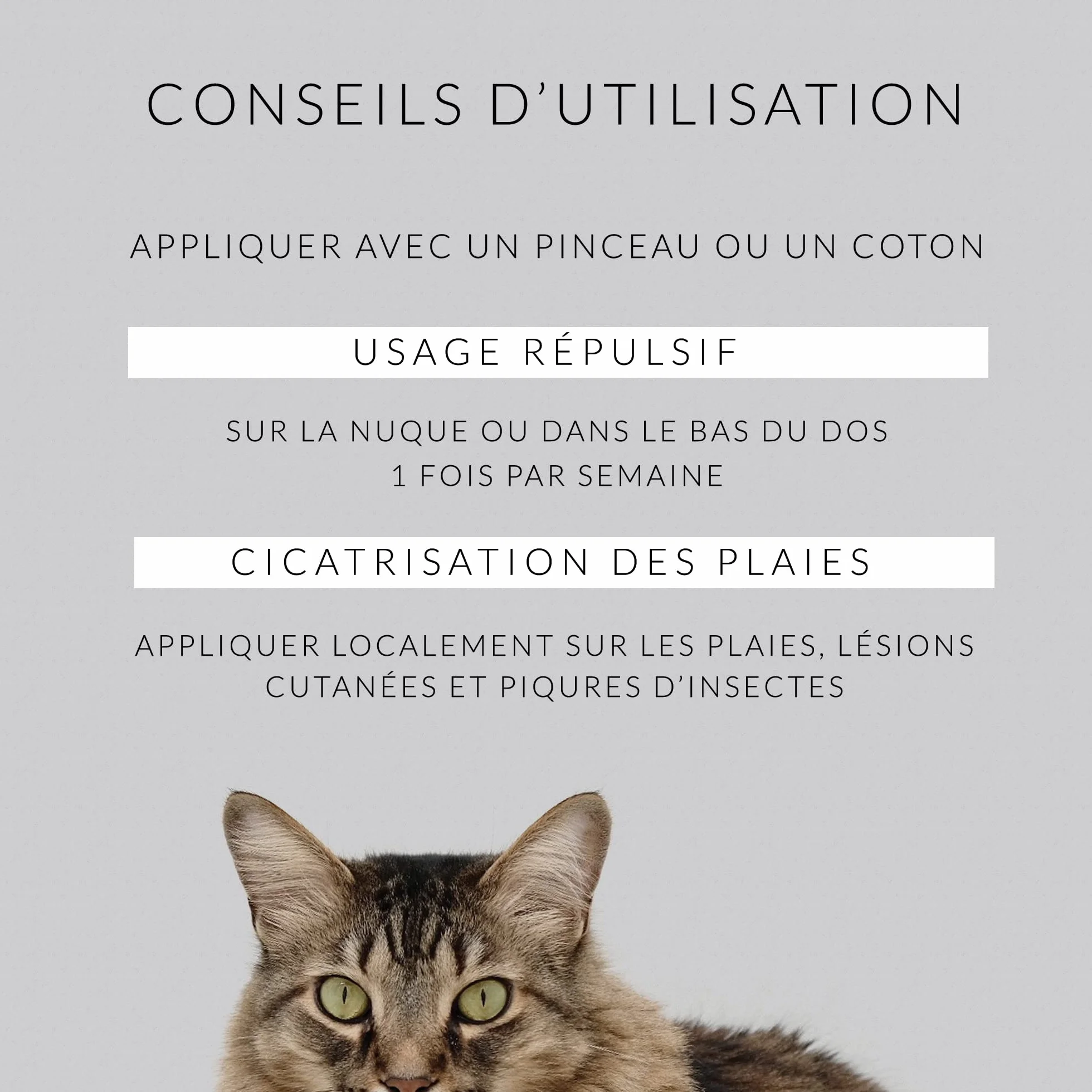 Huile de Cade pour Chats 250g Distillerie des Cévennes Fabriquée en France