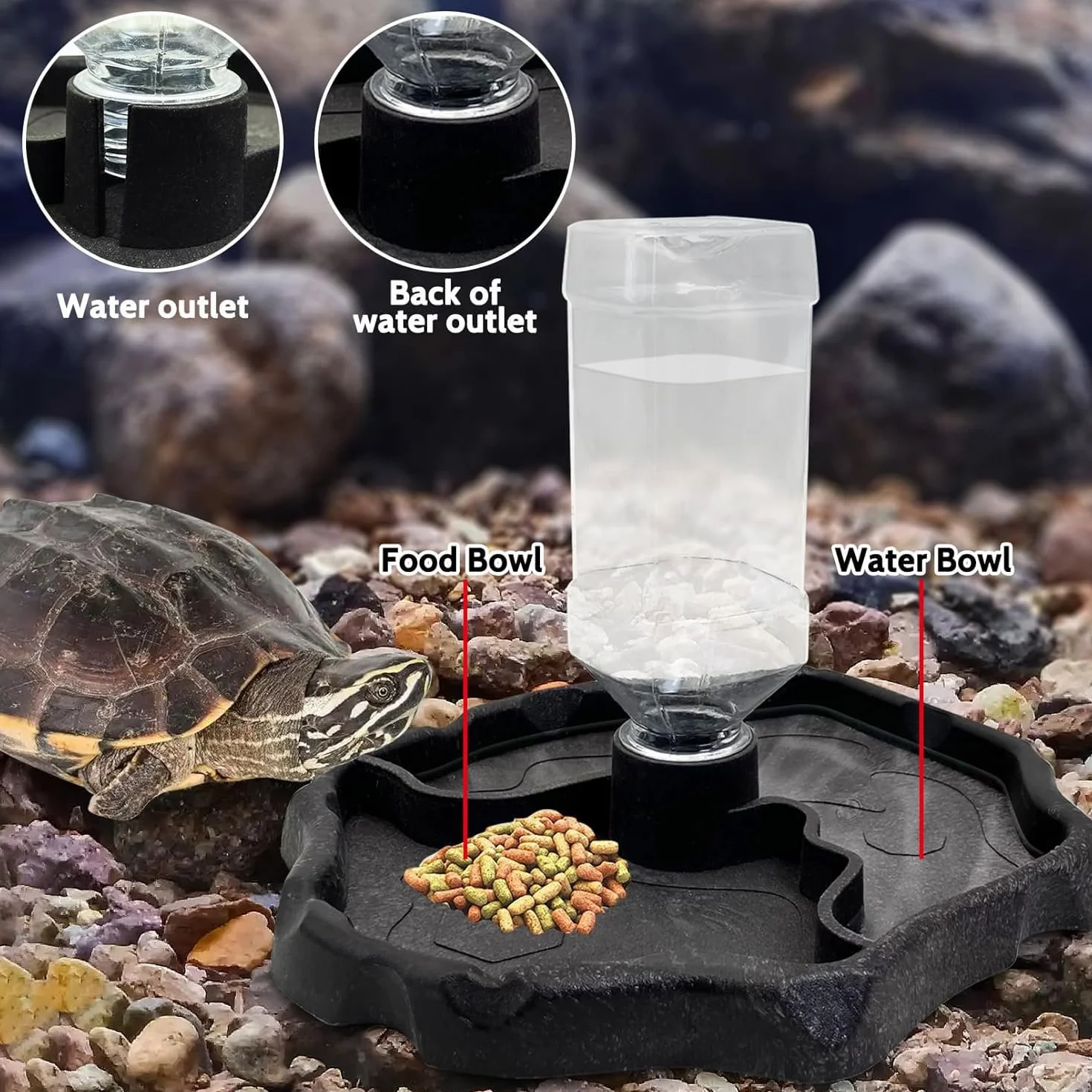 JOYOLA Bol à Eau pour Reptile 2 en 1 Mangeoire Gamelle Tortue
