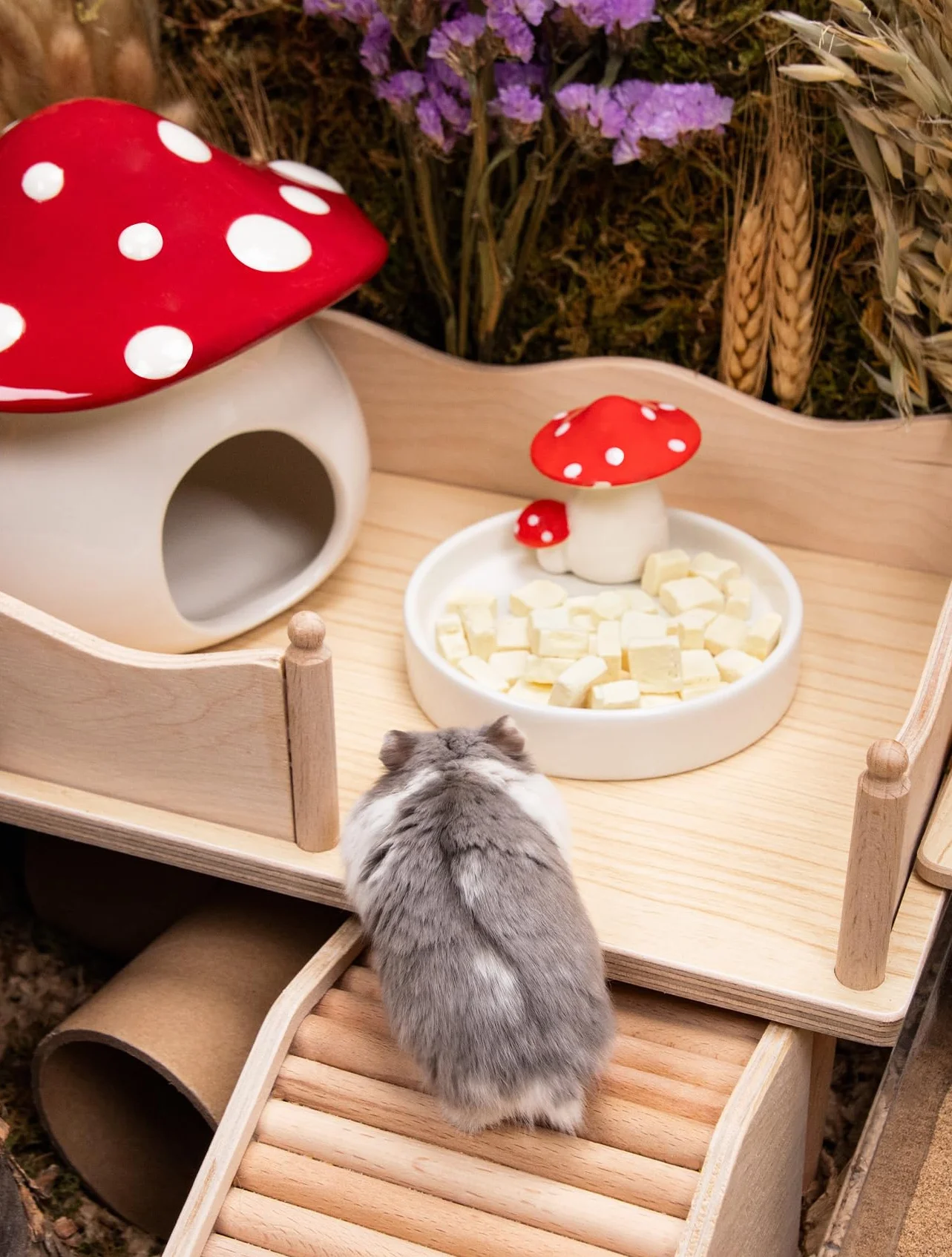 Niteangel Gamelle hamster céramique champignon pour hamsters syriens nains gerbilles souris rats petits animaux