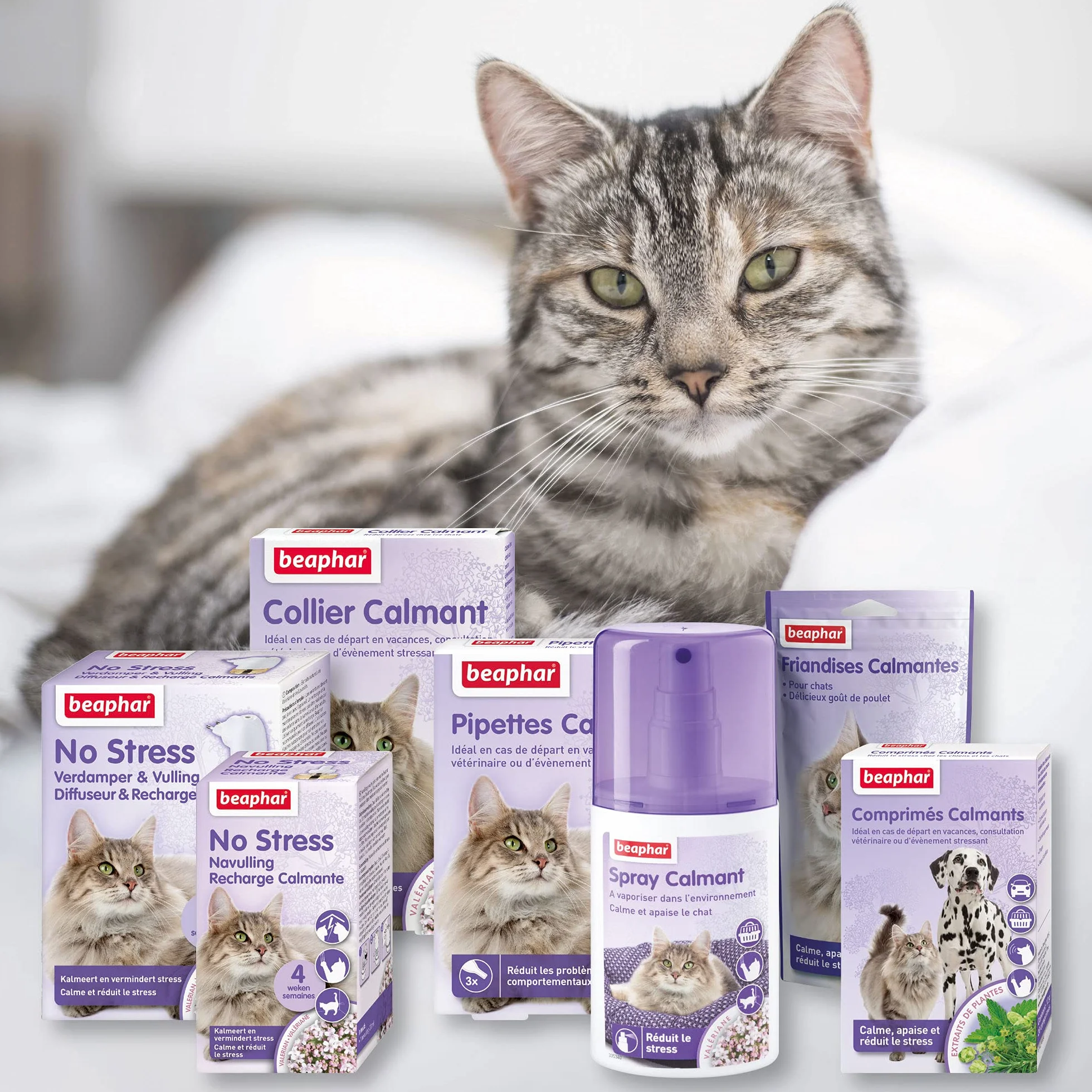 Beaphar NO Stress Friandises Calmantes à la Valériane pour Chat 35 g