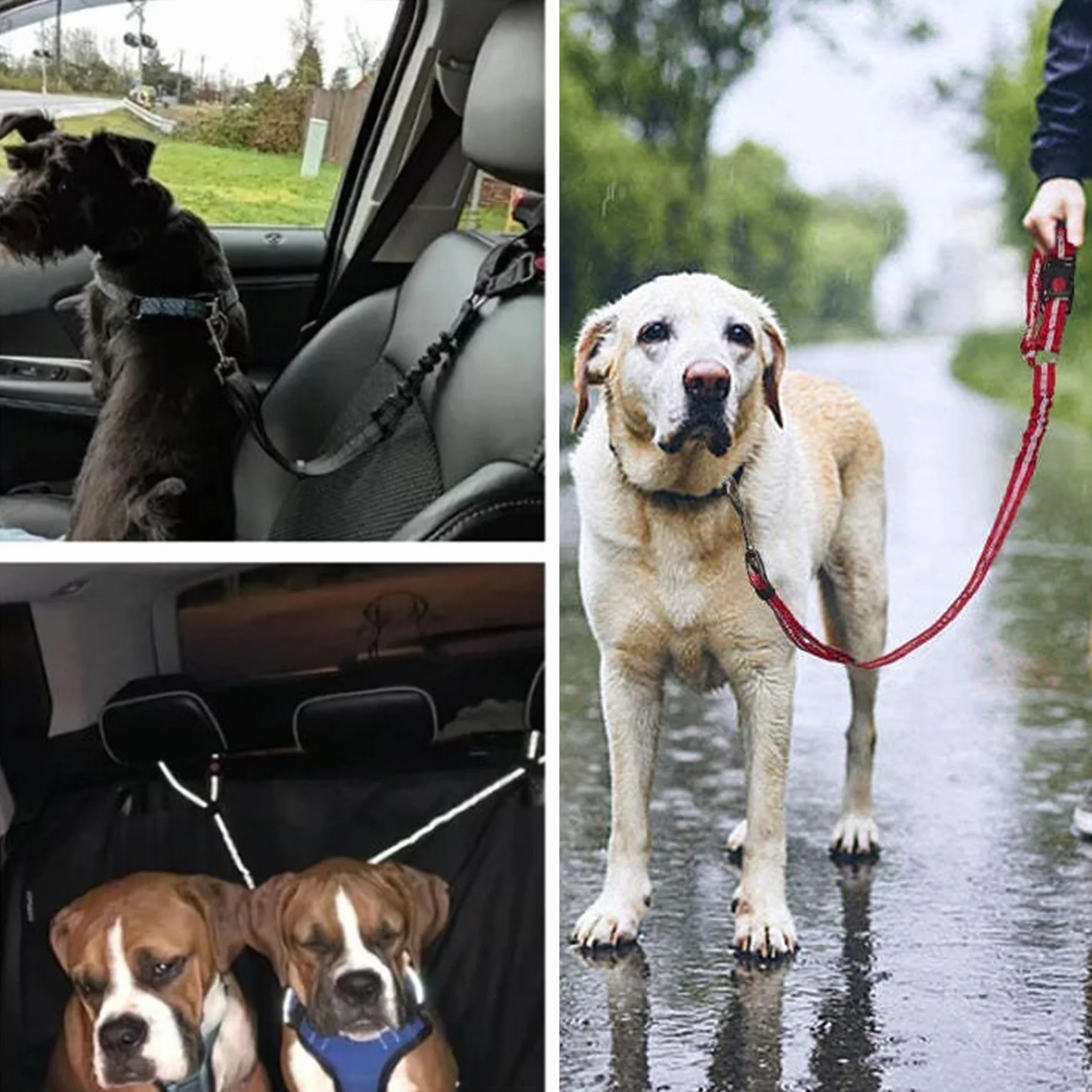 Ceinture de sécurité de voiture pour chien – Harnais de voiture réglable pour animal domestique, retenue rembourrée pour chien, laisse élastique en nylon durable (noir)