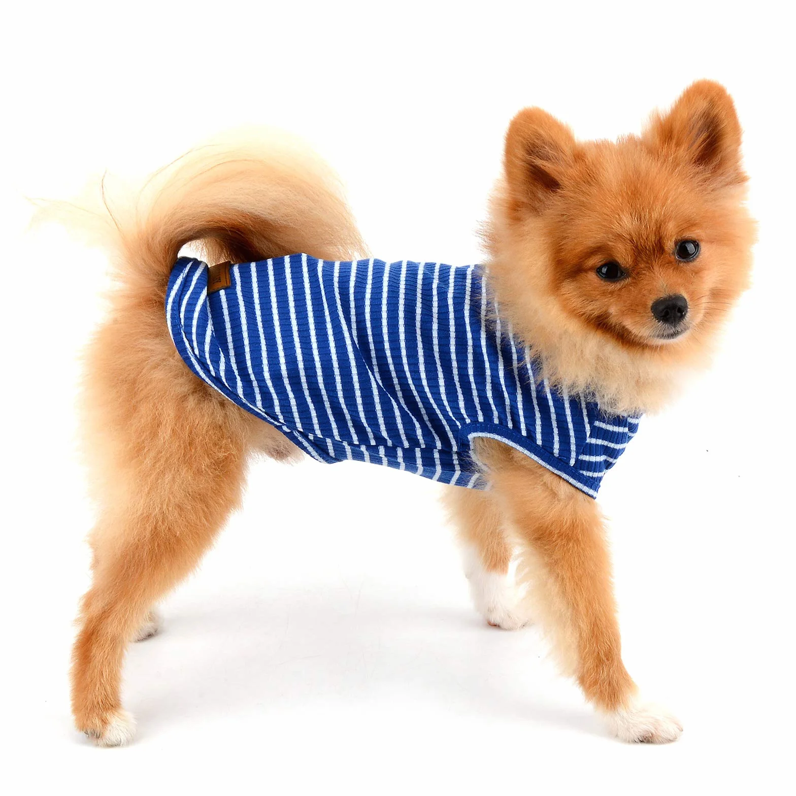 PAIDEFUL Vêtements pour Petits Chiens Garçon Fille été rayé Chiot t-Shirt Gilet Respirant Coton sans Manches Chihuahua Yorkshire Bleu M