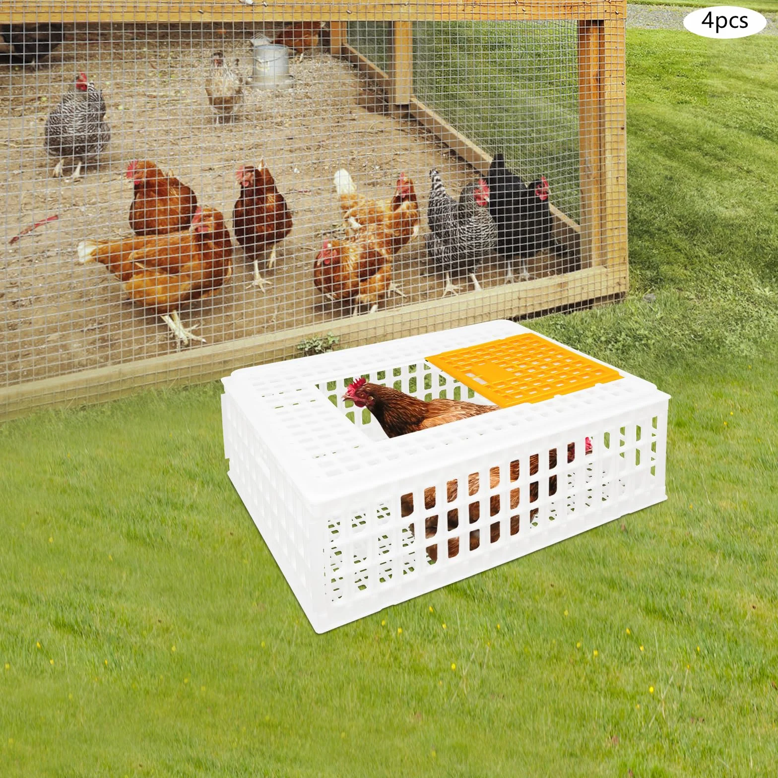 Lot de 4 caisses de transport pour volaille 77 x 55,5 x 27 cm - Capacité de charge 200 kg - Extra robuste