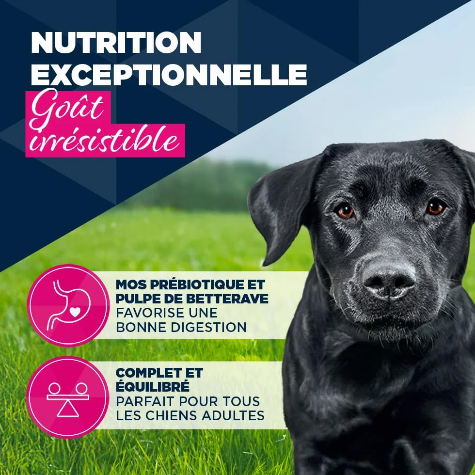 EUKANUBA Life Care Aliment Humide Chien Adulte 1-7 Ans Toutes Races, Pâtée Riche en Bœuf & Courges, Oméga-3, Calcium, 6x400g