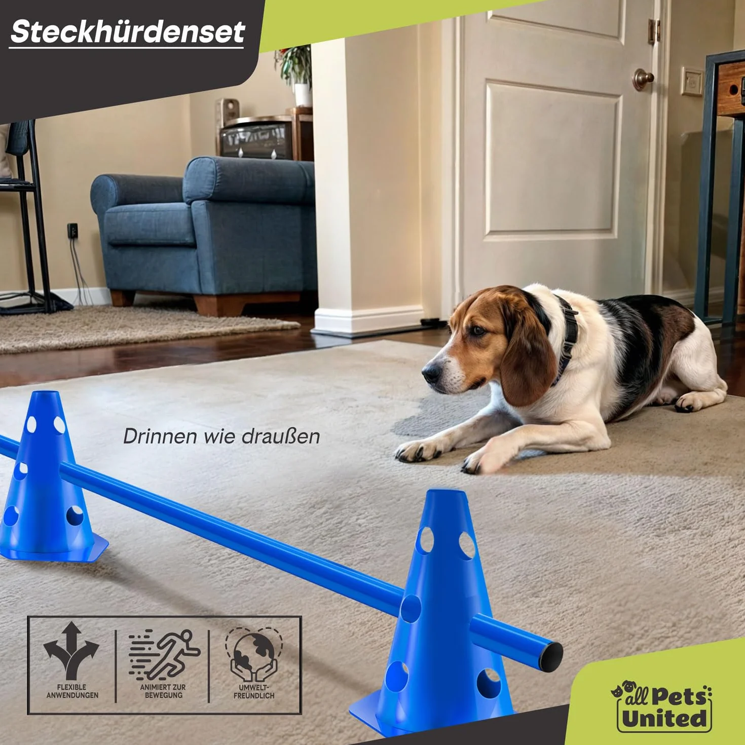 Pets United® Set de haies à enfoncer pour chiens et chevaux - Accessoires d'entraînement d'agilité avec barre et cônes stables (3 Sets)