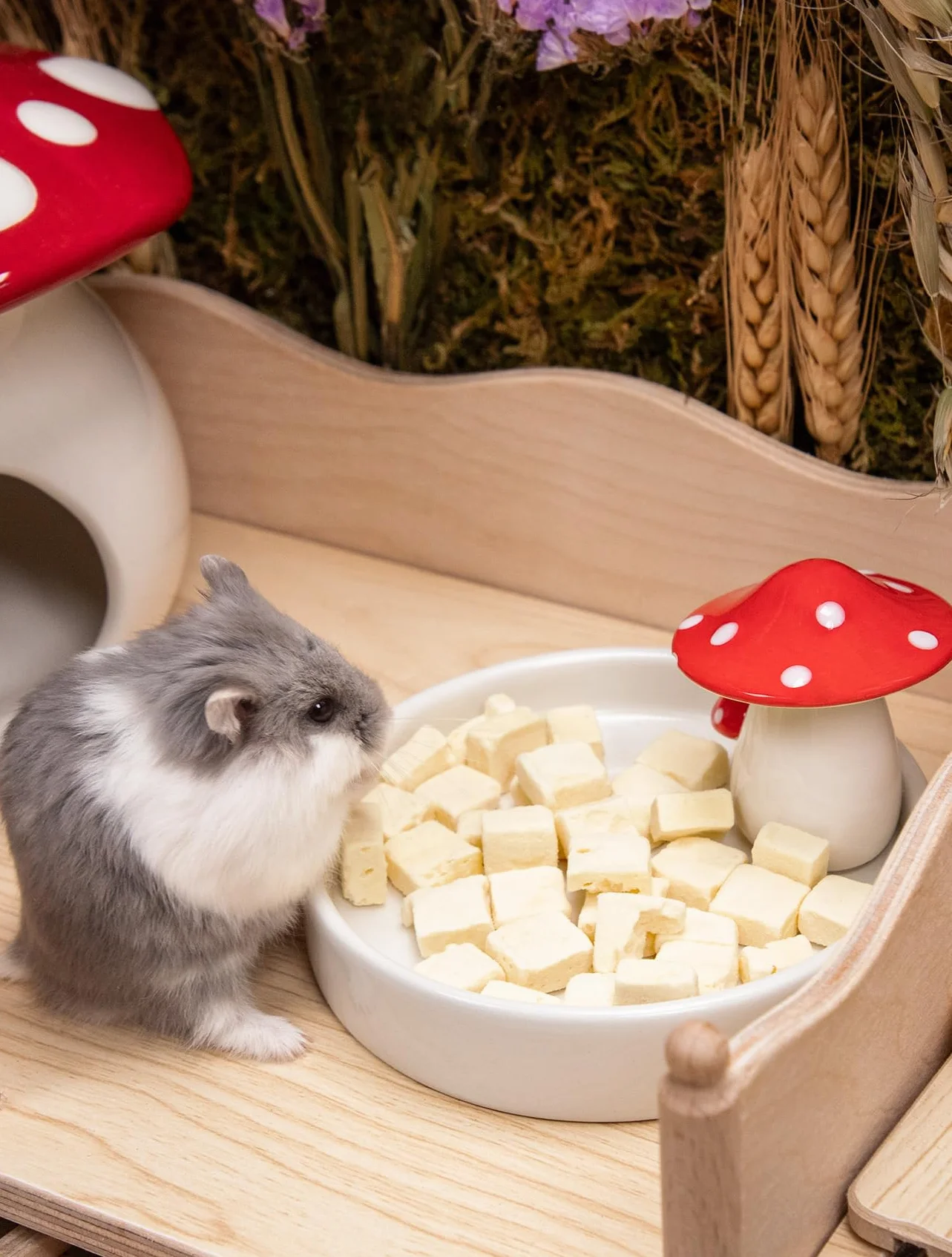 Niteangel Gamelle hamster céramique champignon pour hamsters syriens nains gerbilles souris rats petits animaux