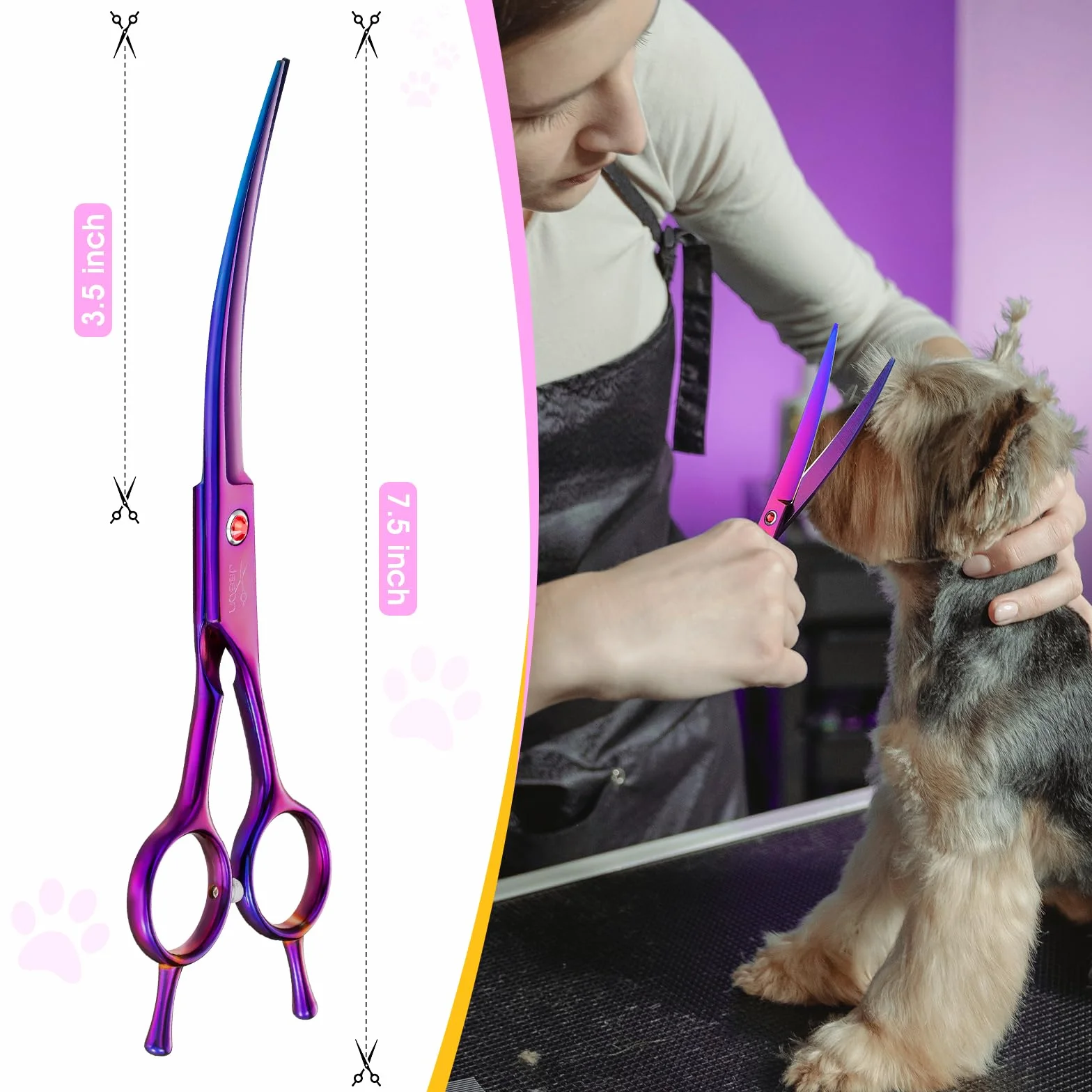 JASON Ciseaux Professionnels Courbes pour Chiens et Chats - 7,5" à Fourrure pour Animaux de Compagnie (Courbes Vers le Haut, Violet)