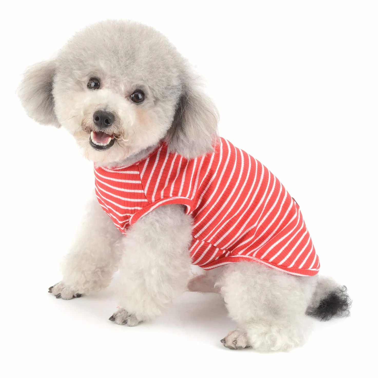 Vêtements pour Animaux domestiques