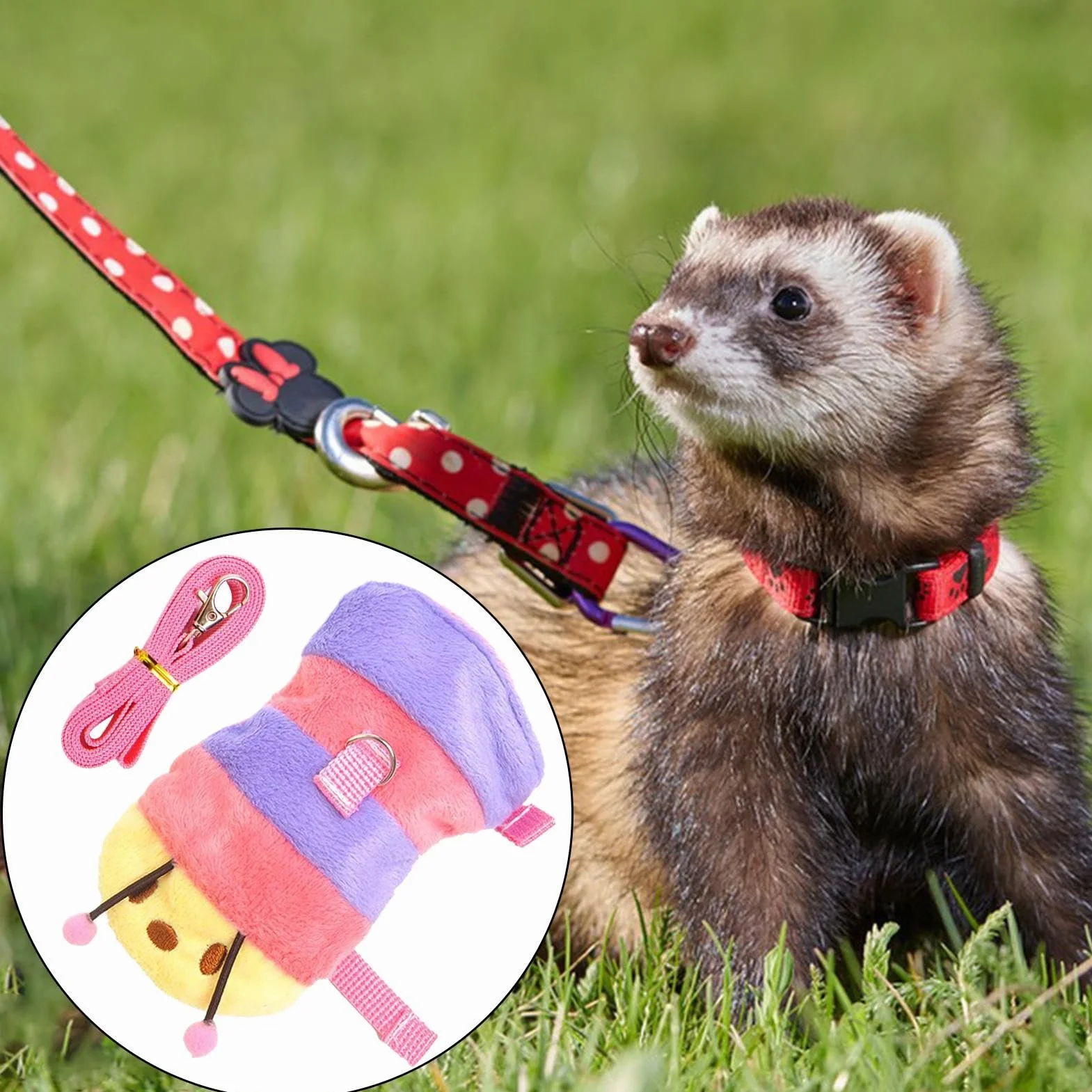 Laisse réglable Harnais Gilet pour Petit Animal de Compagnie, Accessoires Dressage hérisson Chiot Lapin Chaton Raton Laveur Plein air