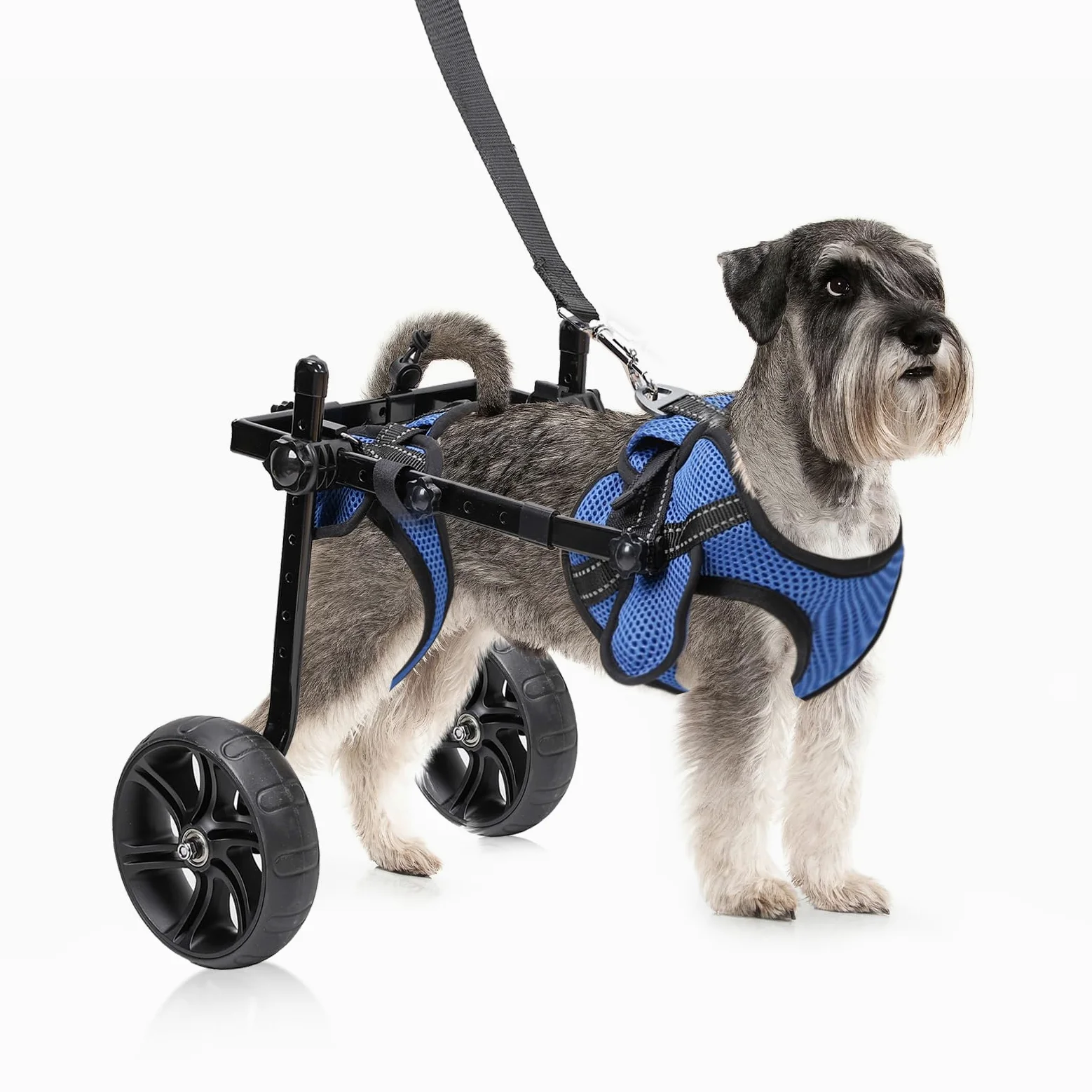 Fauteuil roulant Pvirbravoo Dlm-01 - Pneus tout-terrain améliorés pour petit chien - Fauteuil roulant réglable pour chien - Design de sécurité réfléchissant pour pattes arrière handicapées ou blessées