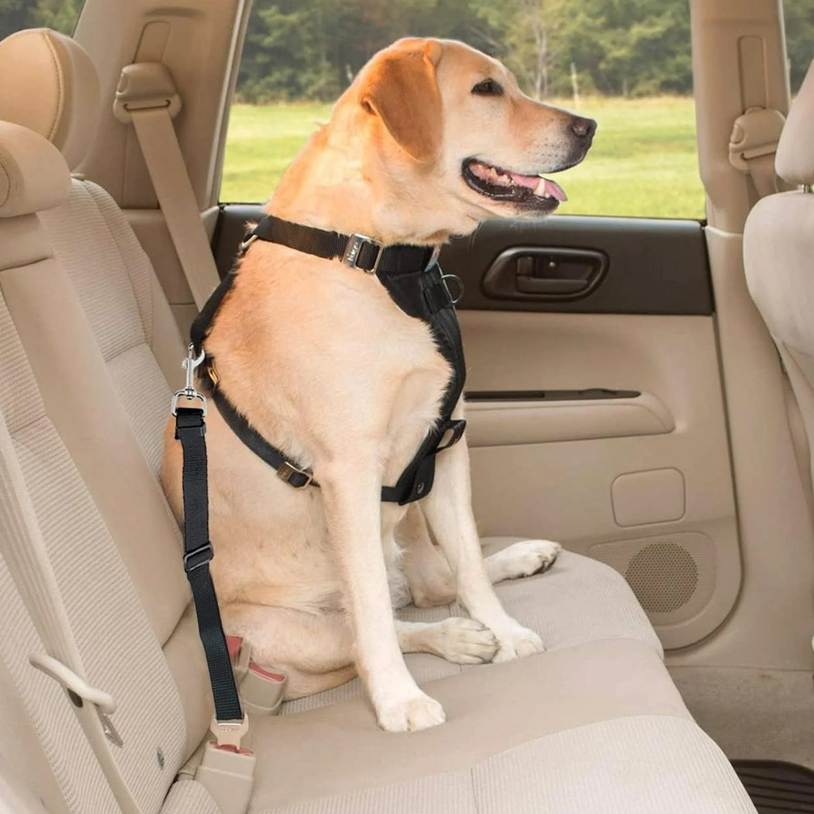 Harnais Ceinture Chien Voiture Sécurité Accessoires Attache Rallonge Transport pour Chats Chiot