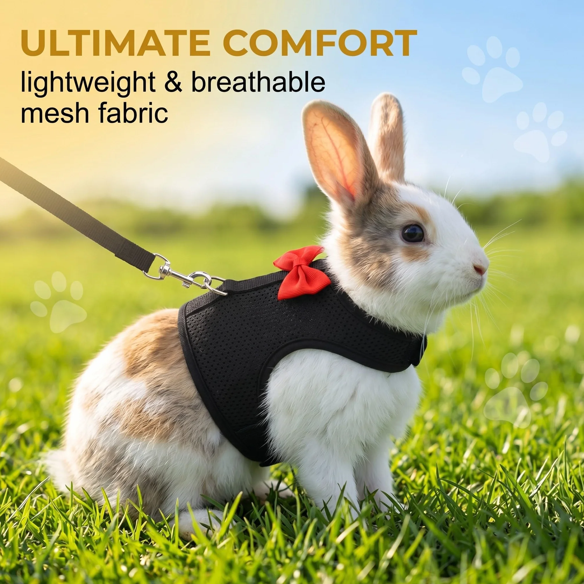 Harnais Lapin avec Laisse Réglable Respirant, Grande Taille L pour Lapin Nain Furet, Noir