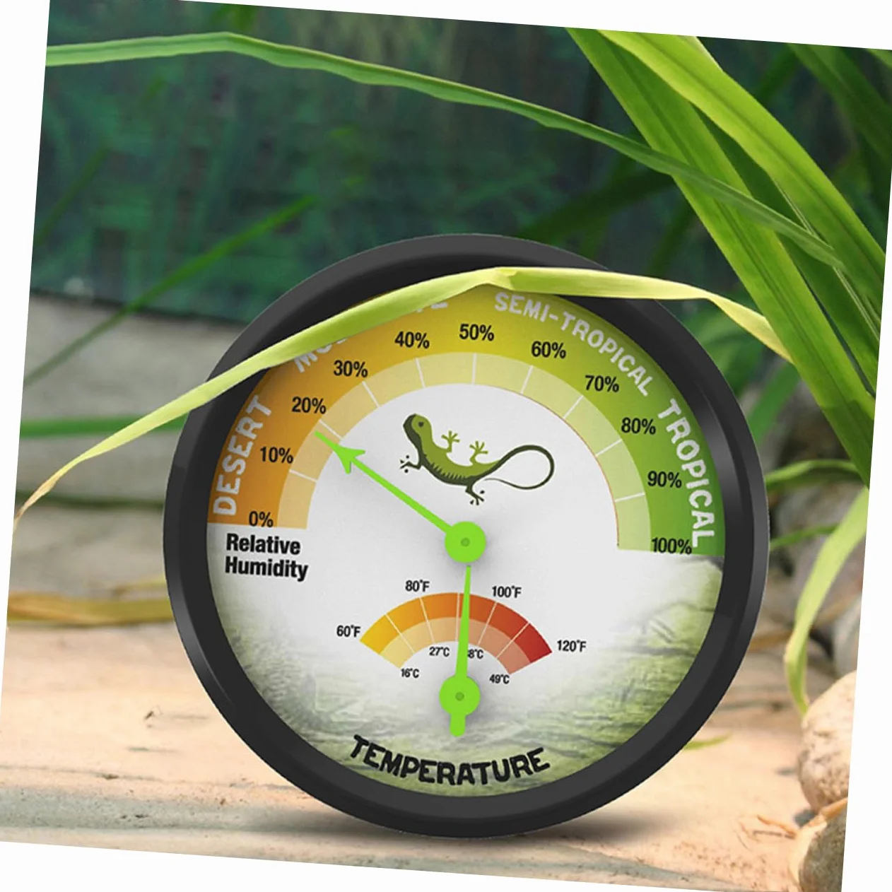 Thermomètre Et Hygromètre Double Pour Terrarium De Reptiles Appareil De Mesure De Température Et Humidité Pour Vivariums Et Couveuses Mini Thermomètre Pratique