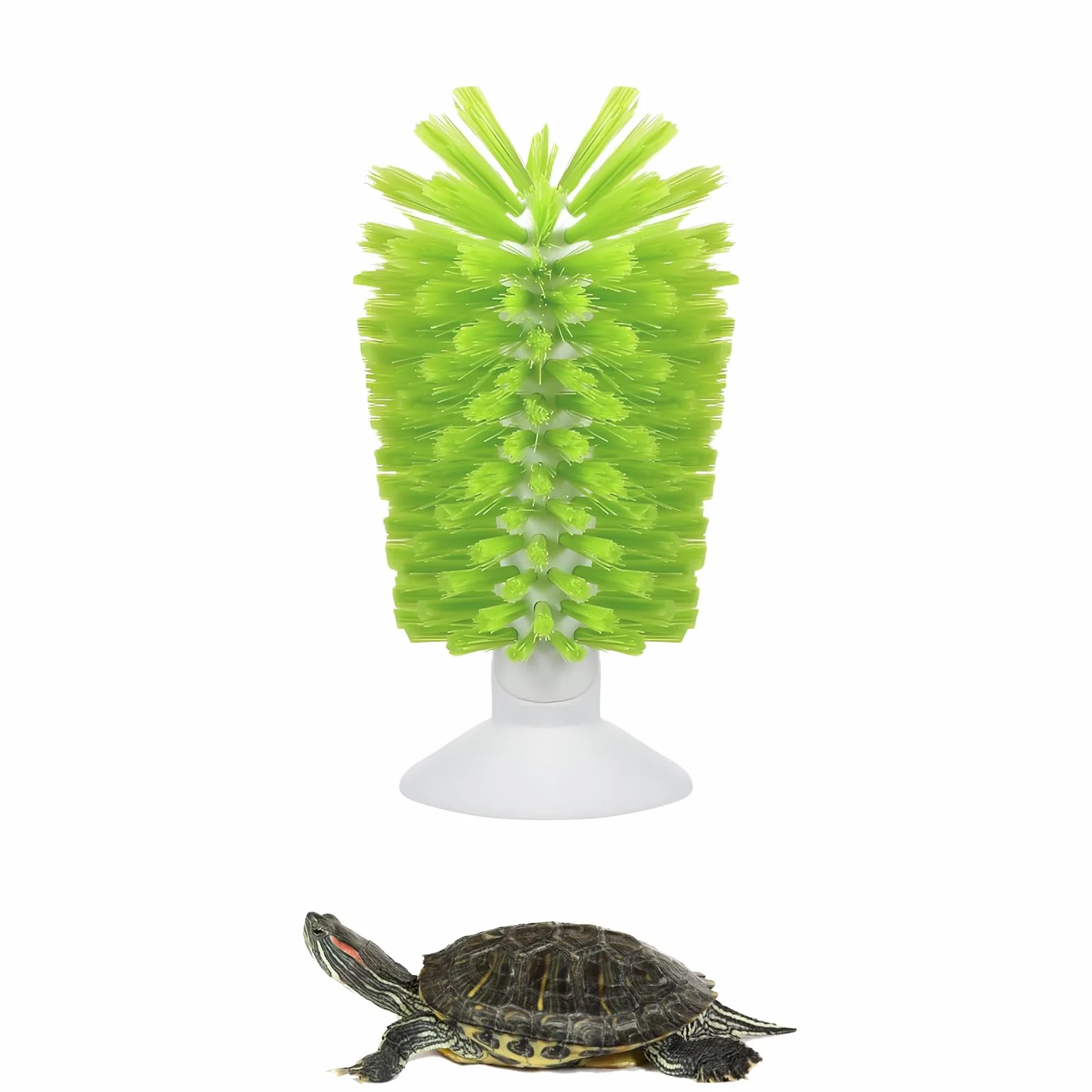 Brosse de nettoyage en forme de coquille de tortue verte avec ventouse, outil de cuisine pour maison