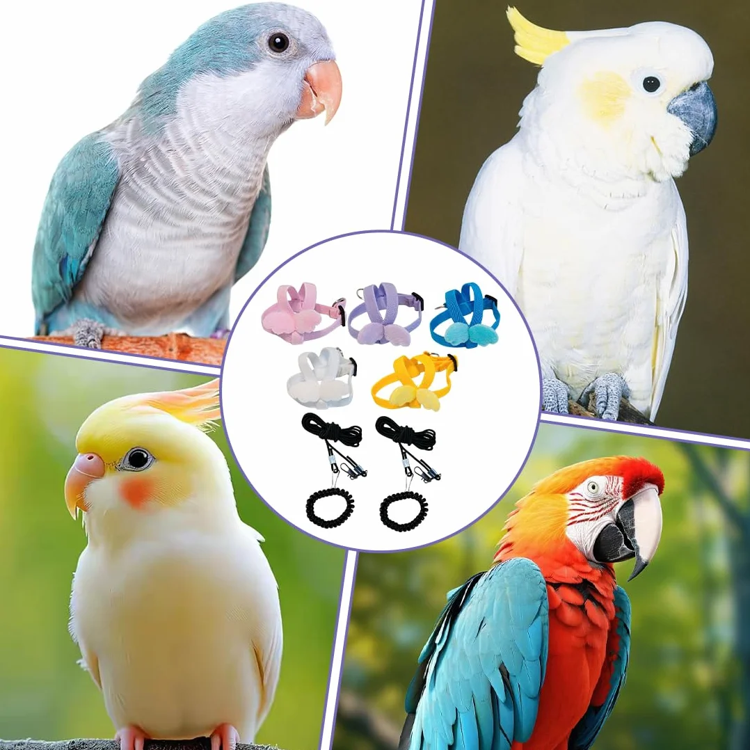 Harnais Perroquet 5 Pièces Harnais Pour Perroquet Ajustable Avec Laisse Vol Entraînement Sécurité Petit Oiseau Calopsitte Accessoire Aviaire Corde Réglable Pour Animaux