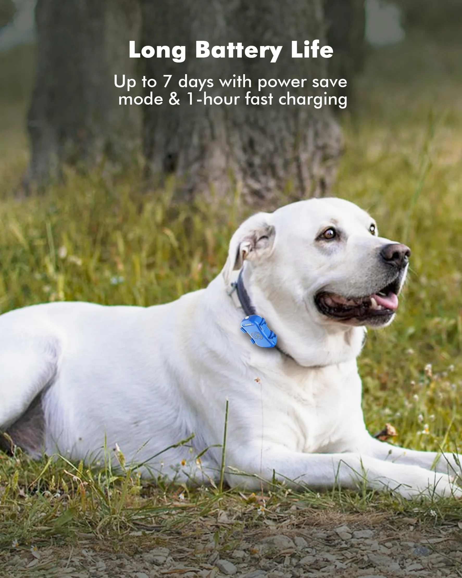 Collier GPS Chien Traceur GPS IP67 Géolocalisation Animaux