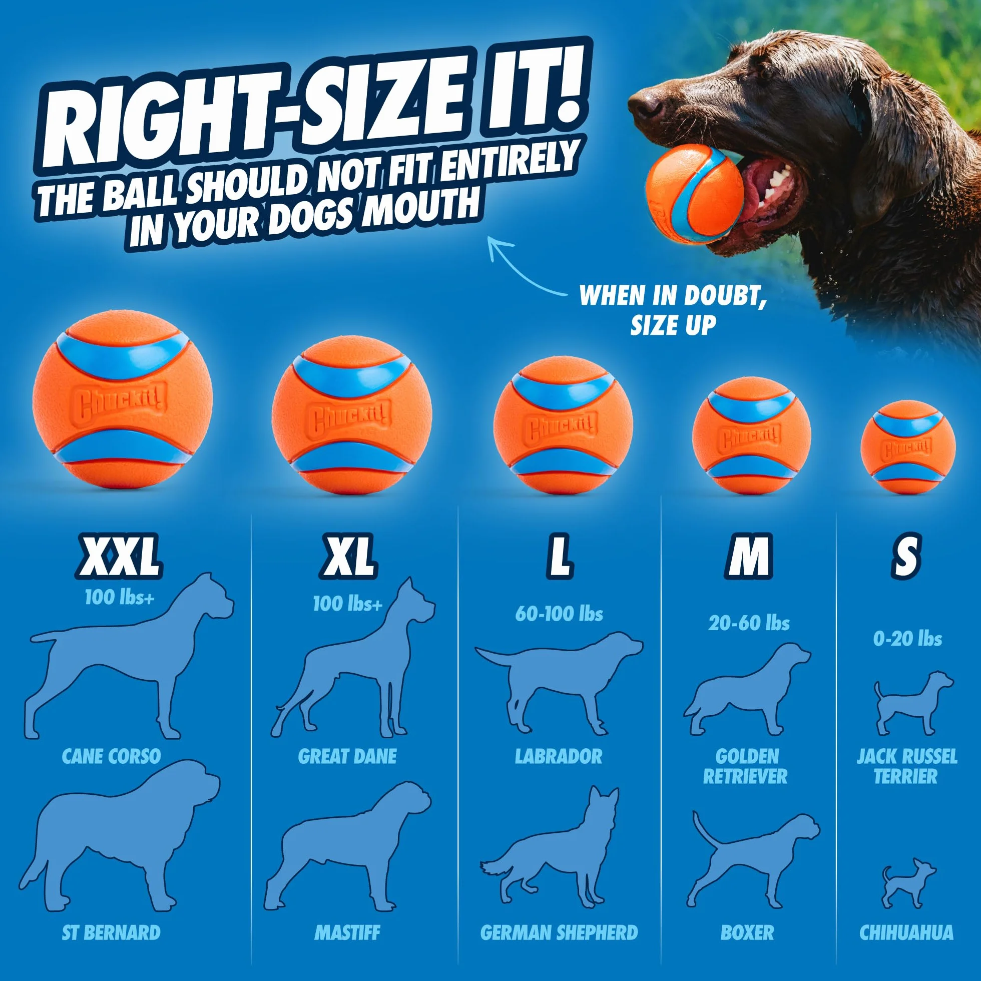 Chuckit Sport 12 Lanceur de Balle Jouet pour Chien Taille M
